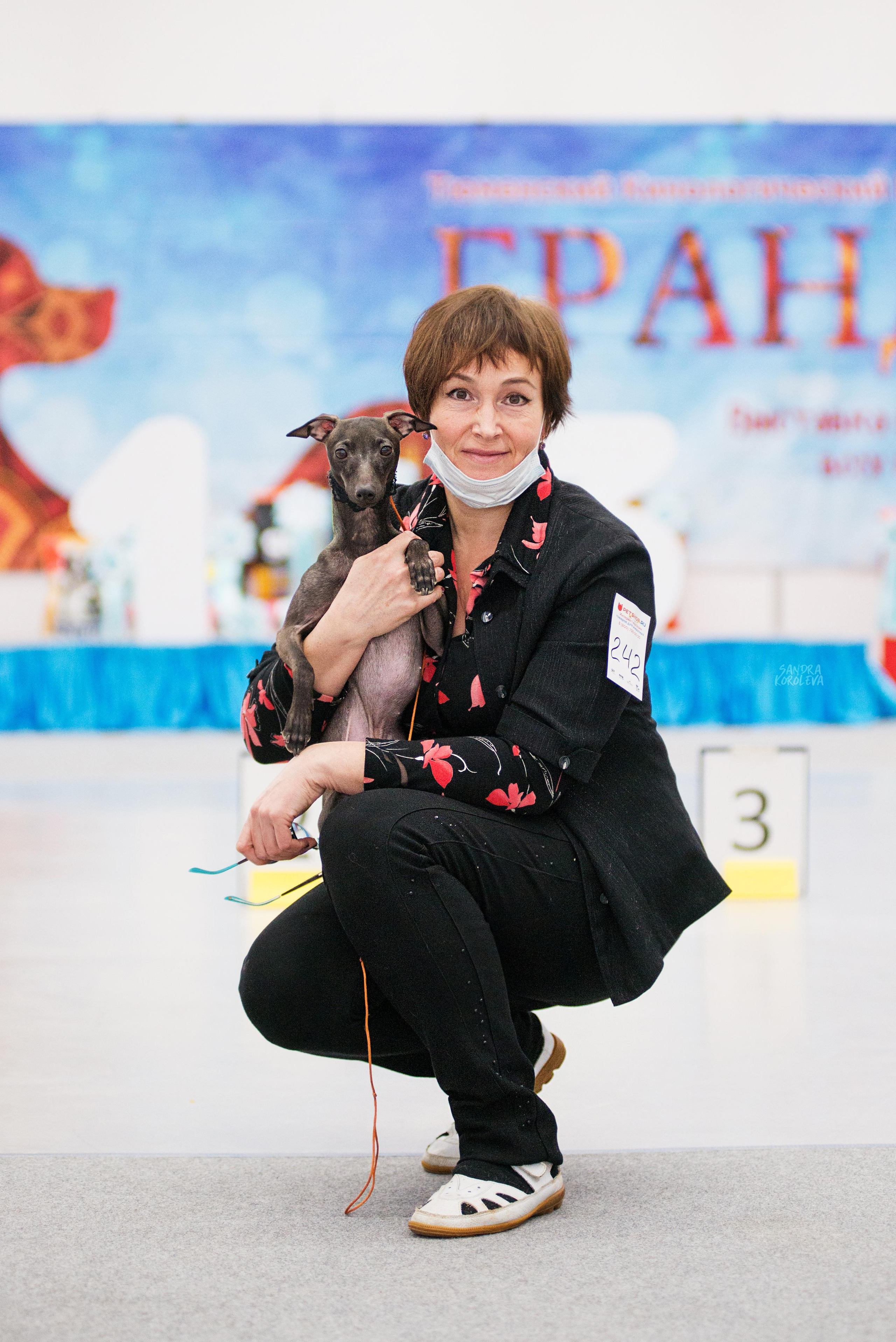 Выставка собак г. Тюмень 07.02.2020. Дог-фотограф в Тюмени Александра Королева