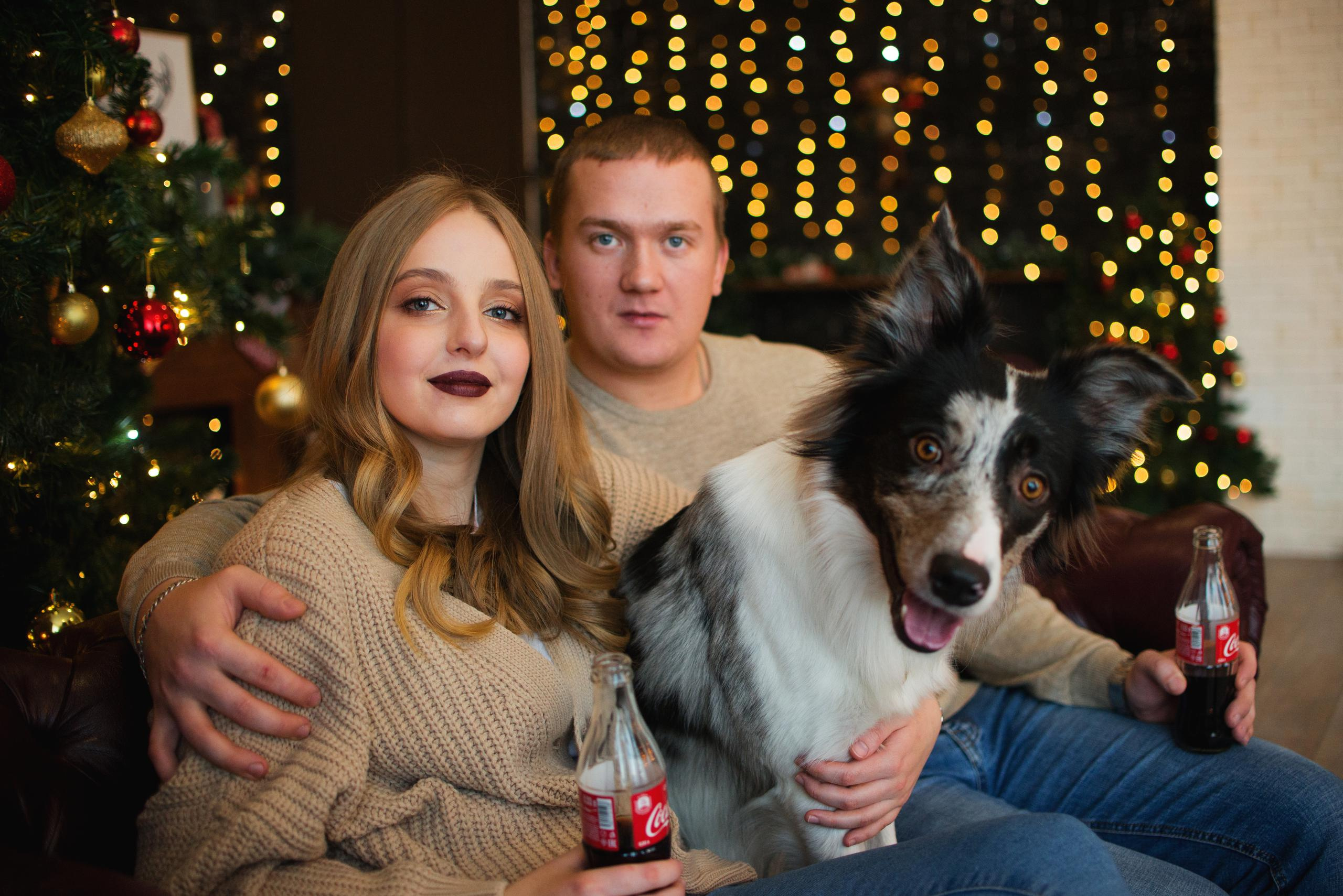 Настя, Илья и Тейс. Новогодняя съемка 2021. Дог-фотограф в Тюмени Александра Королева
