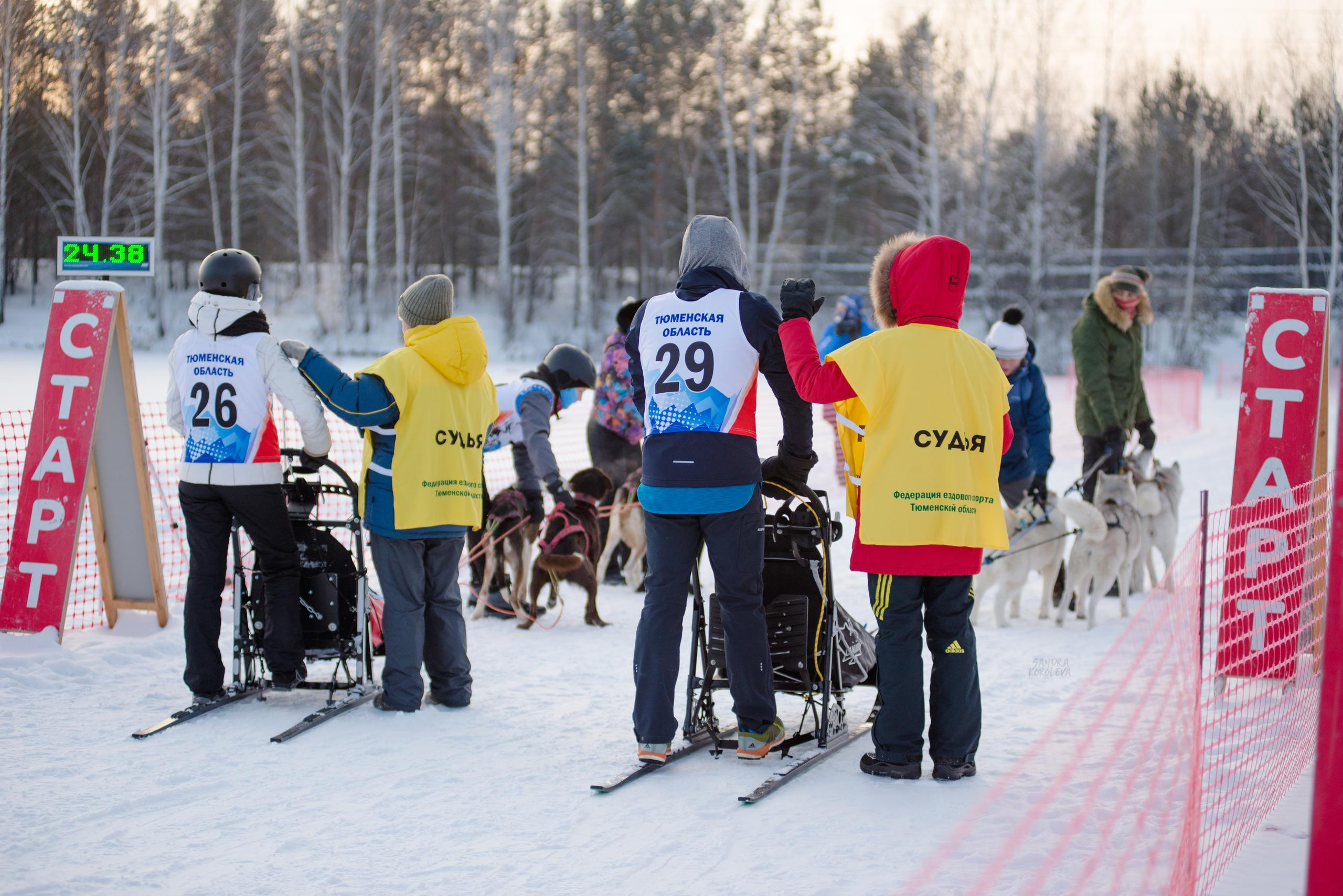 Рождественская гонка на Пруду Лесном 10.01.2021. Дог-фотограф в Тюмени Александра Королева