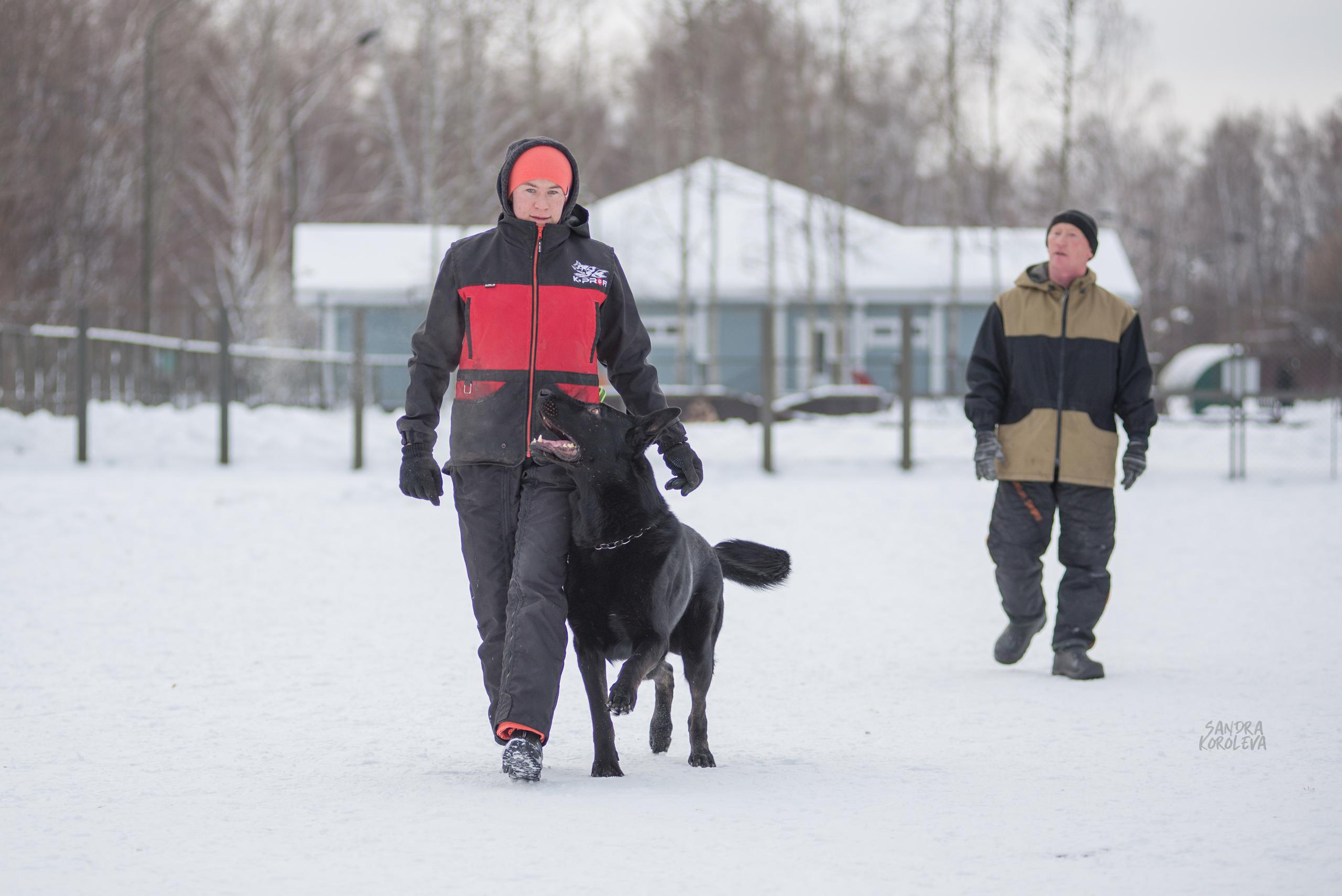 Тренинг с Сергеем Усковым 16-17.01.2021. Дог-фотограф в Тюмени Александра Королева