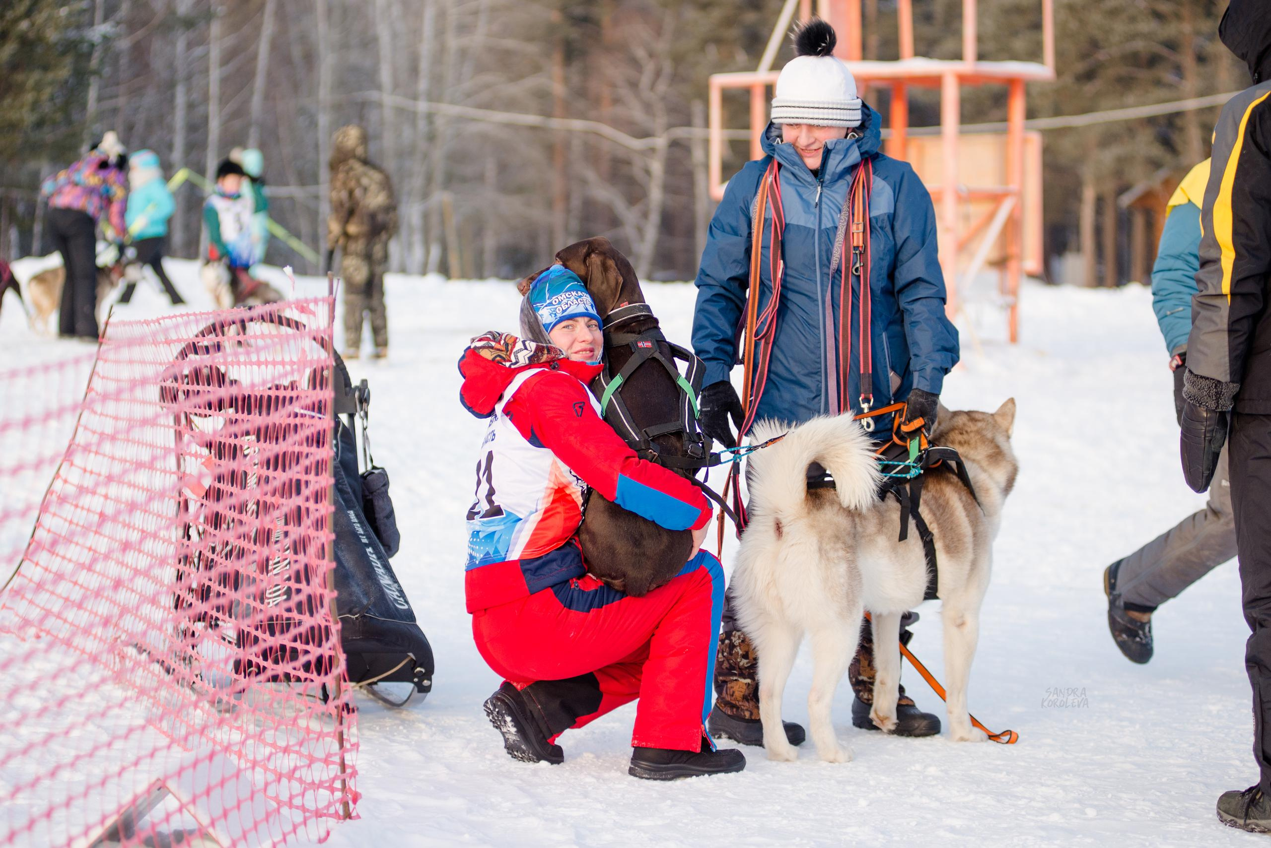 Рождественская гонка на Пруду Лесном 10.01.2021. Дог-фотограф в Тюмени Александра Королева
