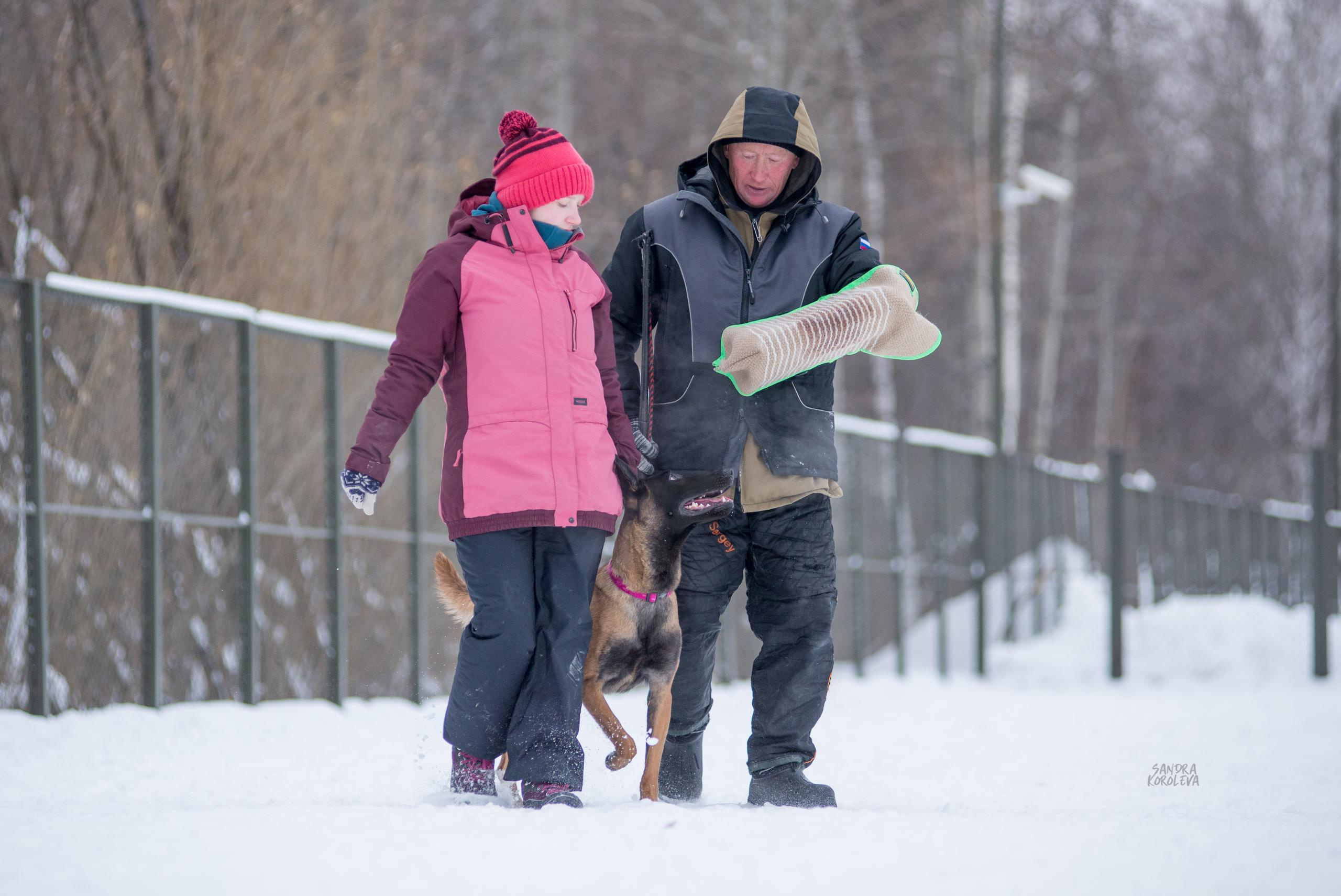 Тренинг с Сергеем Усковым 16-17.01.2021. Дог-фотограф в Тюмени Александра Королева