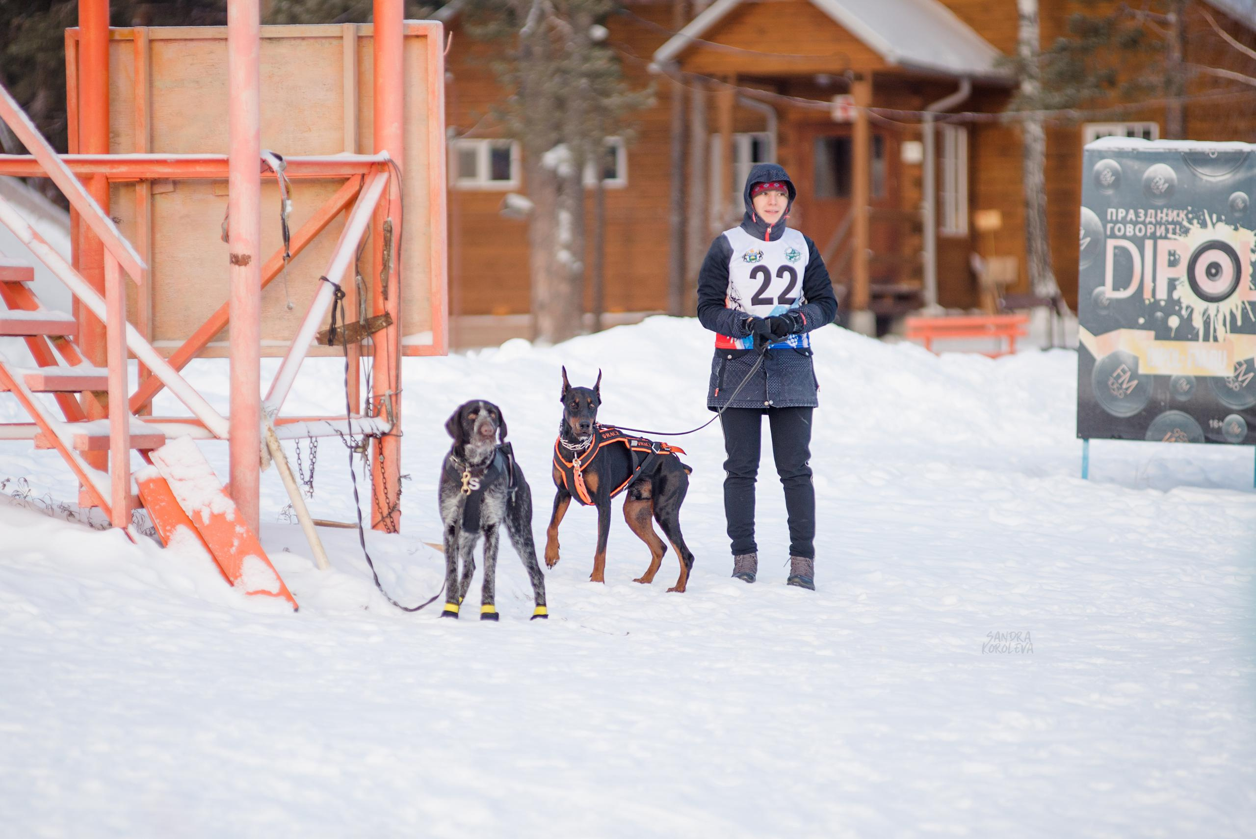 Рождественская гонка на Пруду Лесном 10.01.2021. Дог-фотограф в Тюмени Александра Королева