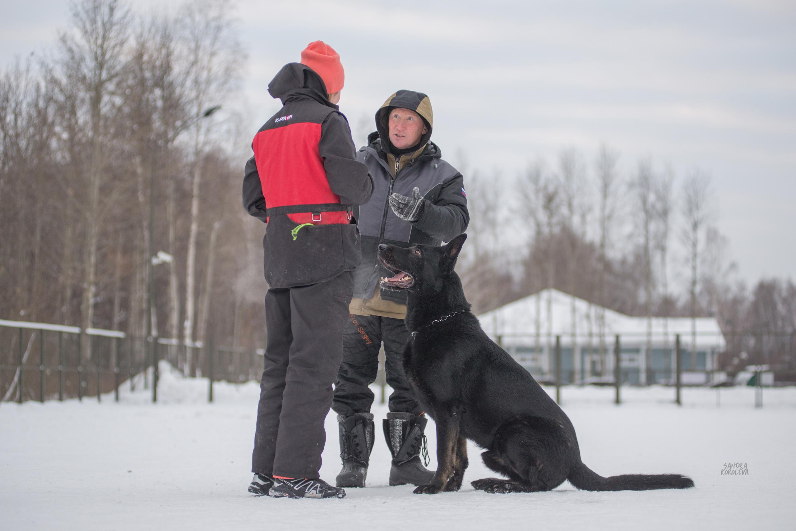 Тренинг с Сергеем Усковым 16-17.01.2021. Дог-фотограф в Тюмени Александра Королева