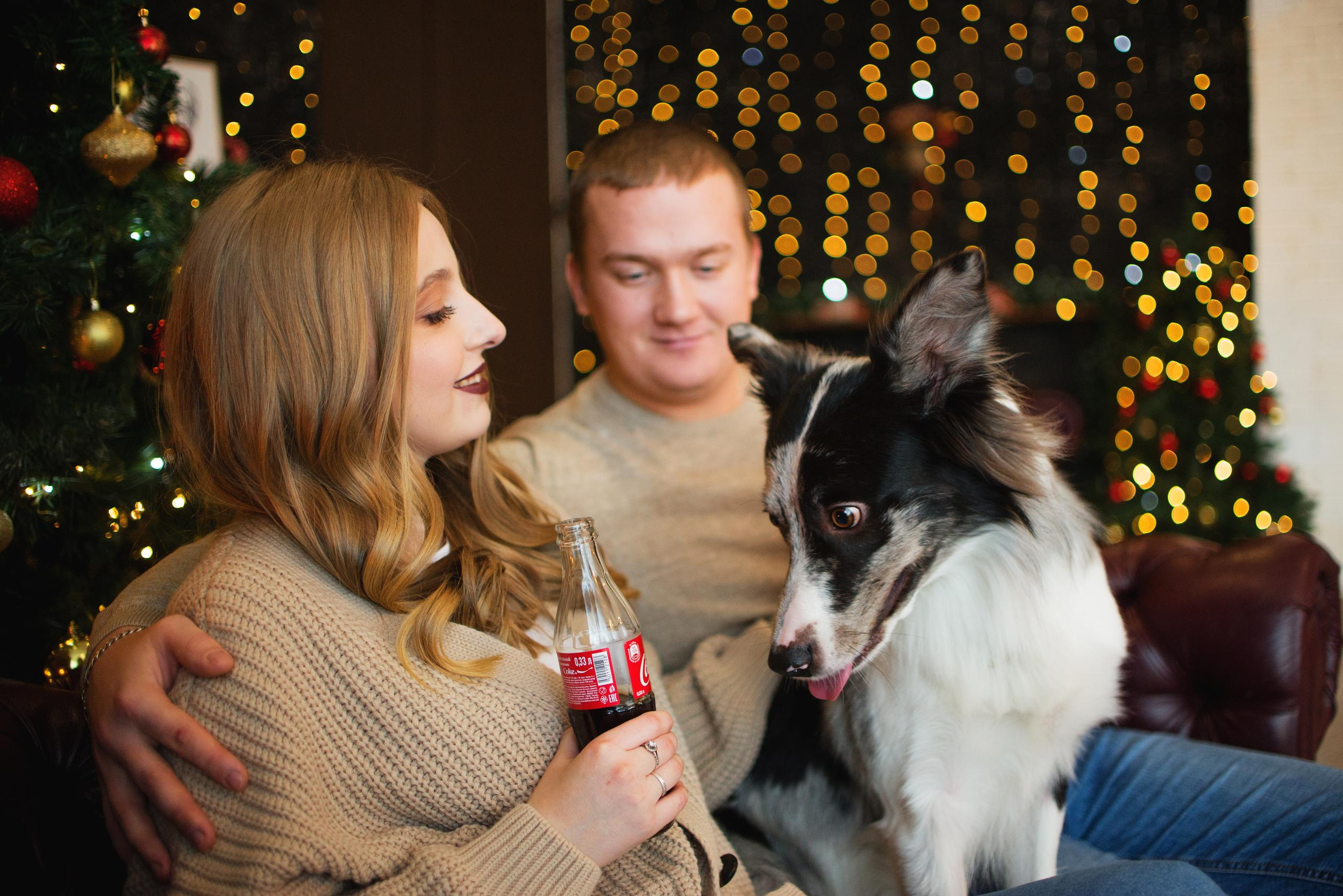 Настя, Илья и Тейс. Новогодняя съемка 2021. Дог-фотограф в Тюмени Александра Королева