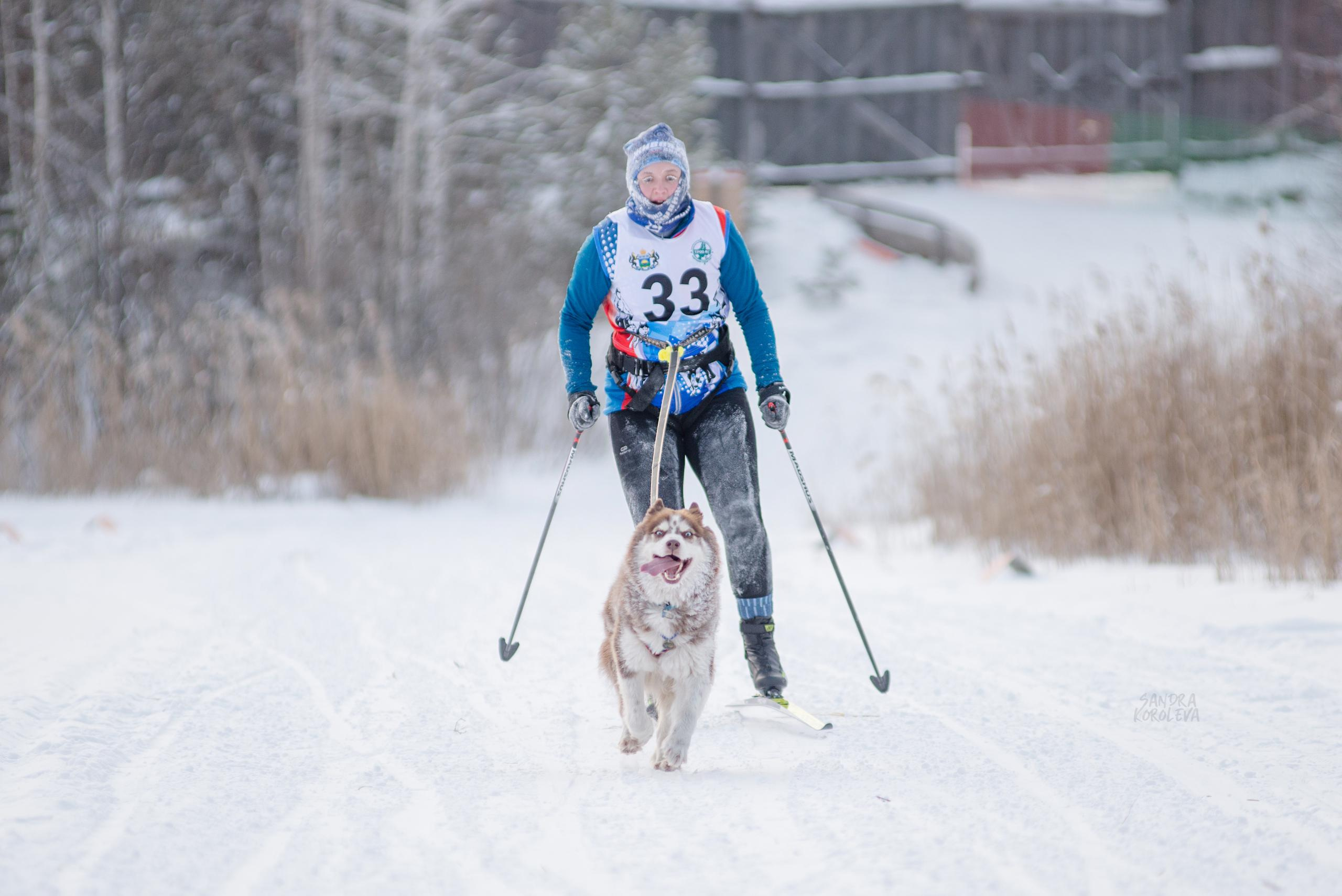 Рождественская гонка на Пруду Лесном 10.01.2021. Дог-фотограф в Тюмени Александра Королева
