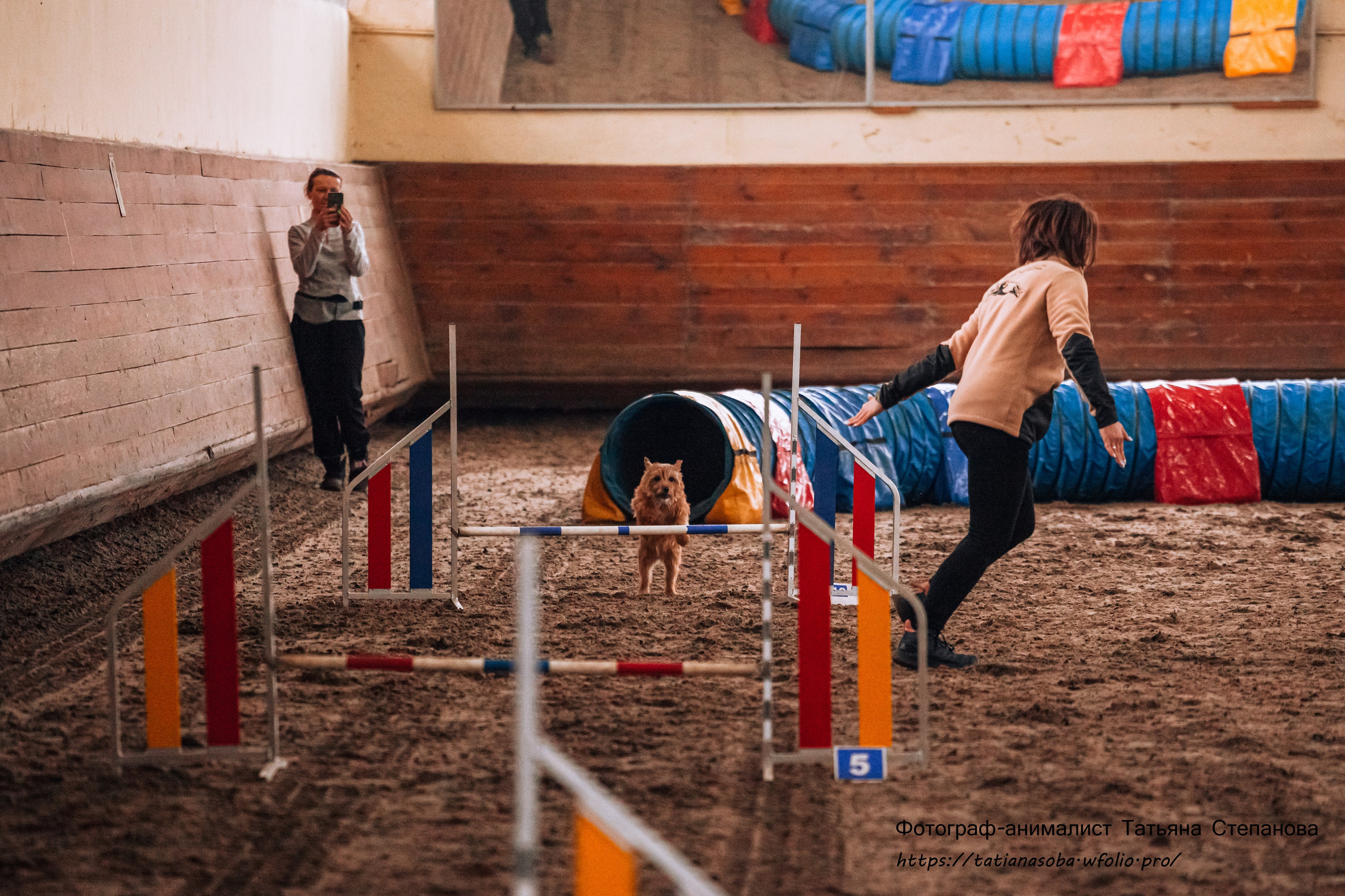 Соревнования по Аджилити 25.02.2024. Фотограф-анималист Татьяна Степанова