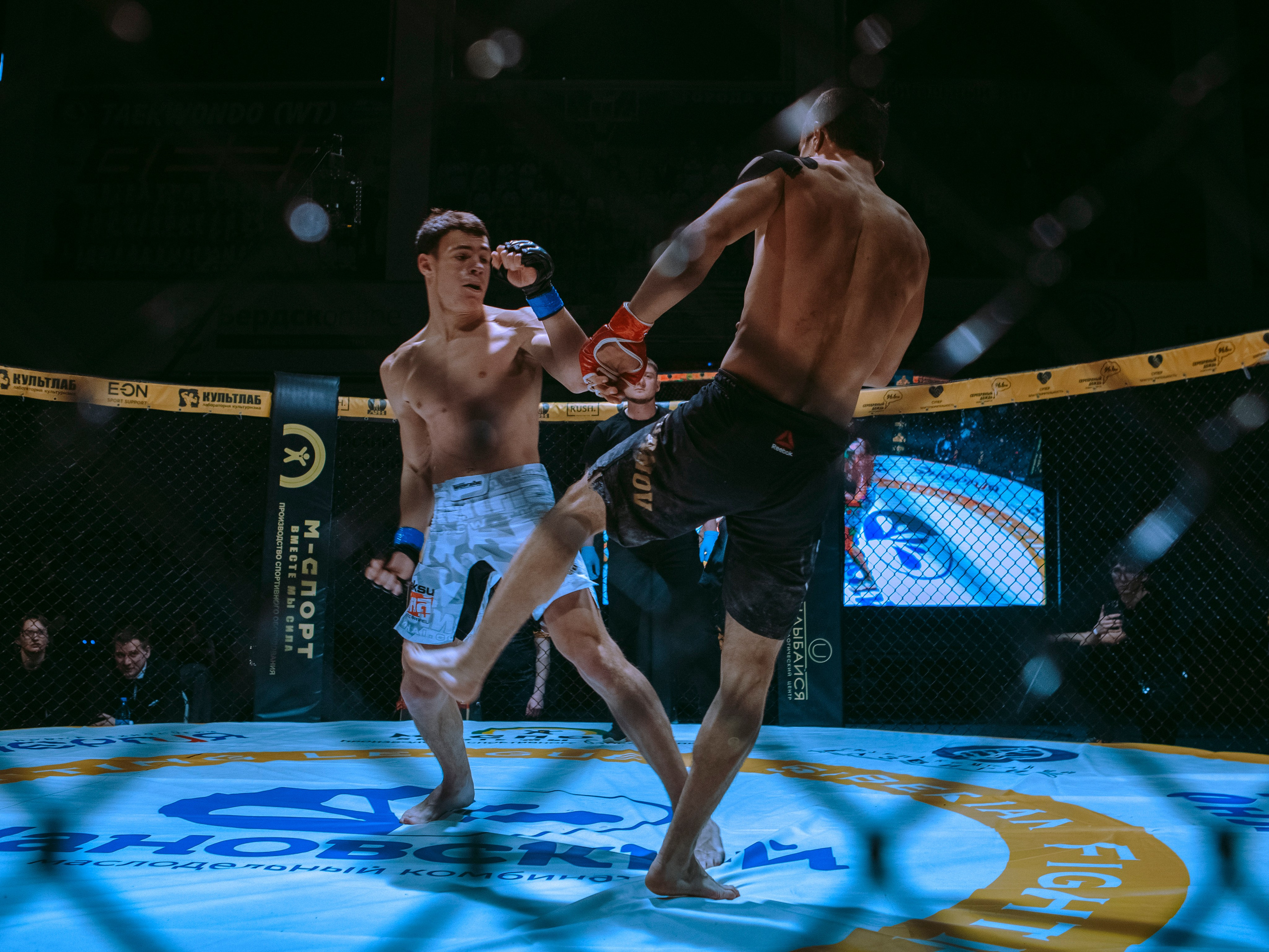 SFL 17 | Siberian Fighting League. Портретный фотограф в Москве Дарья Цезария