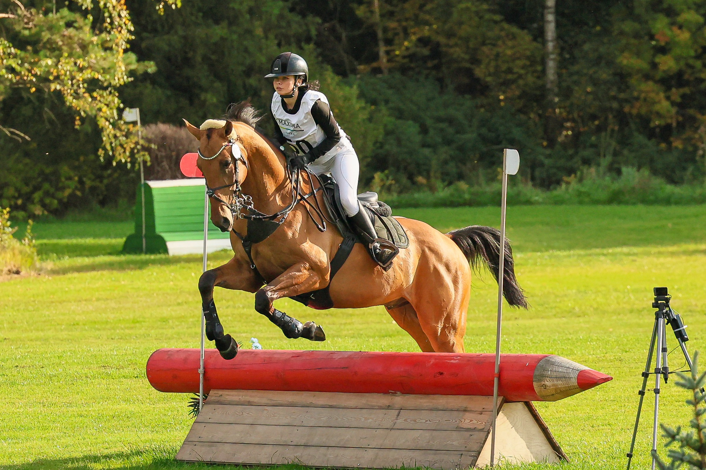 Троеборье максима парк. Конный фотограф Яна Худякова
