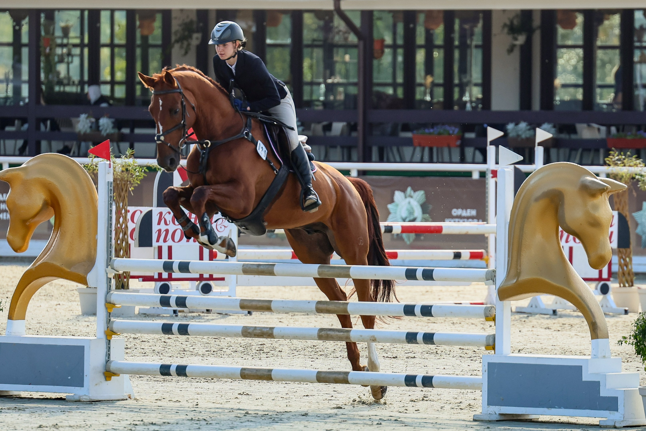 Конкур Максима парк. Конный фотограф Яна Худякова