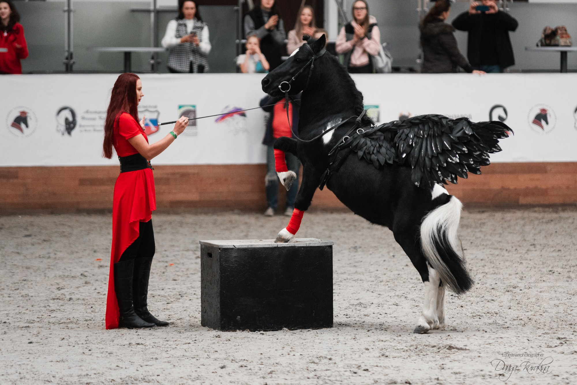 8-я международная выставка Конная Россия. Конный фотограф Куракина Дарья • Фотосессии с лошадьми