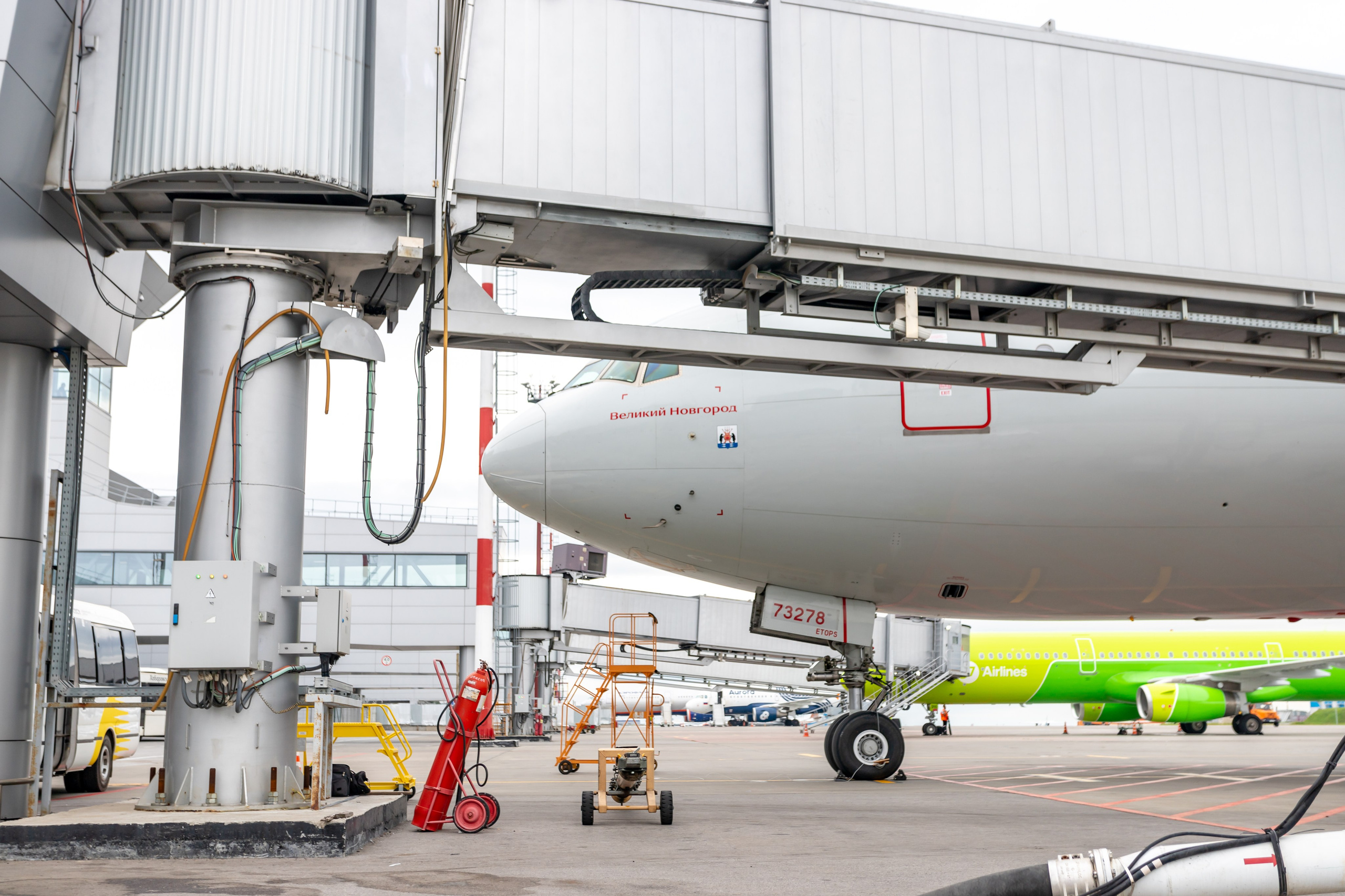 Споттинг 2024. Семейный и детский фотограф в Хабаровске Алевтина Проскурякова