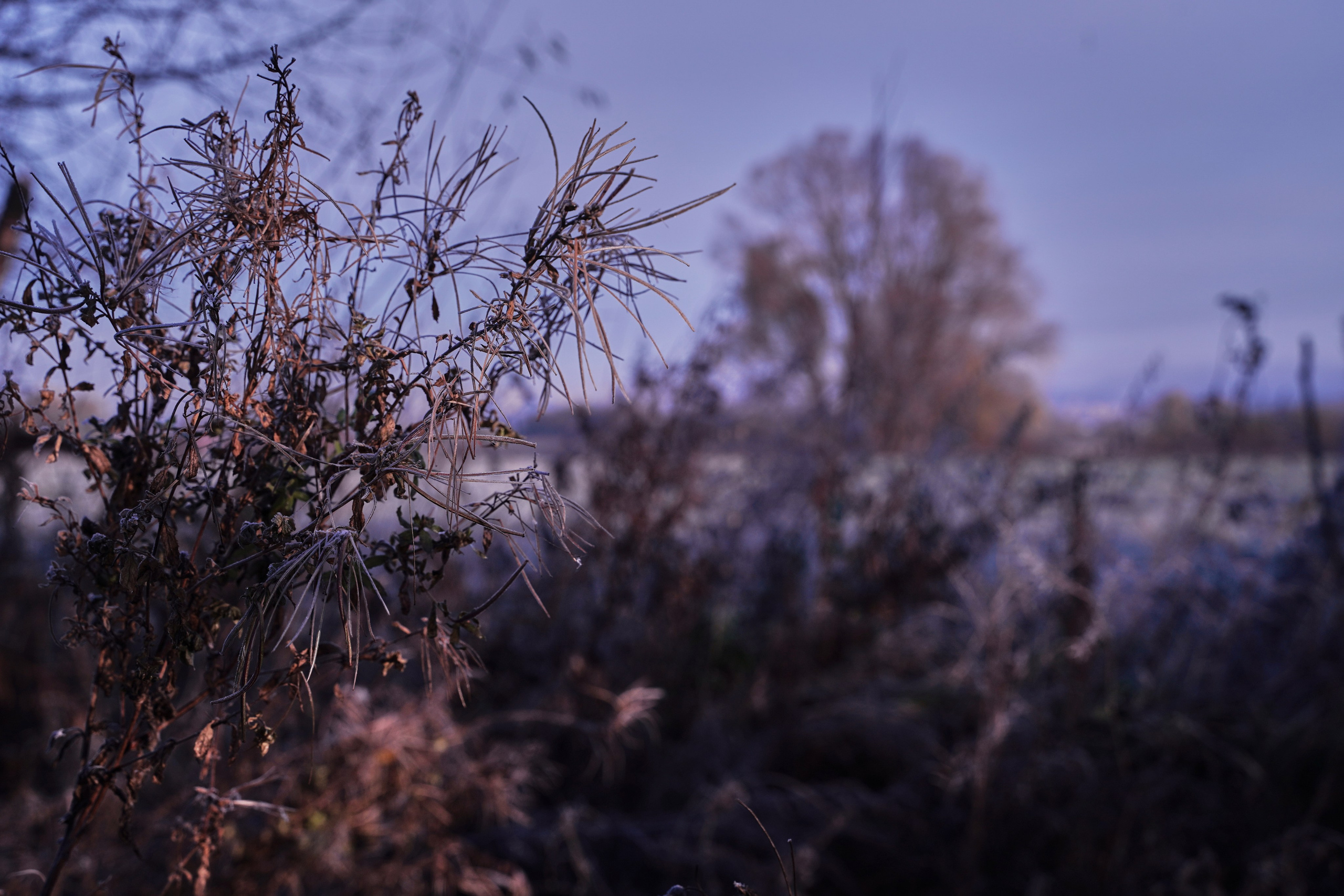 Бекстейдж съемки сериала. Krasnopoliophoto