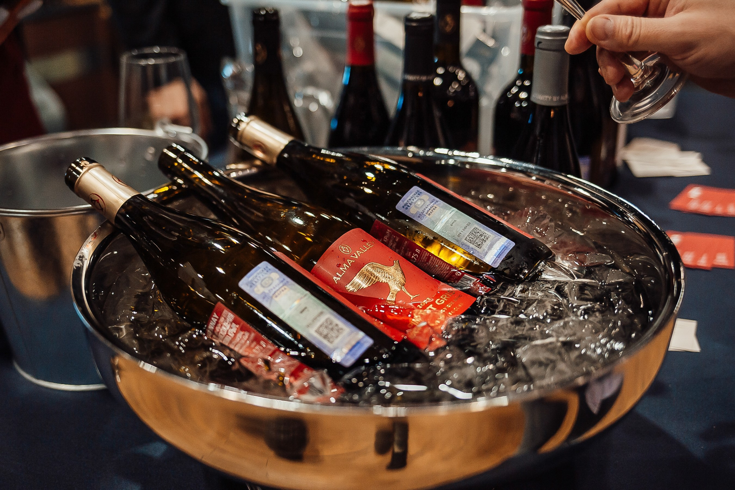 Фотограф на винные фестивали и дегустации в Сочи — Репортаж и цены. Фотограф Сочи Адлер. Солькаева Анастасия