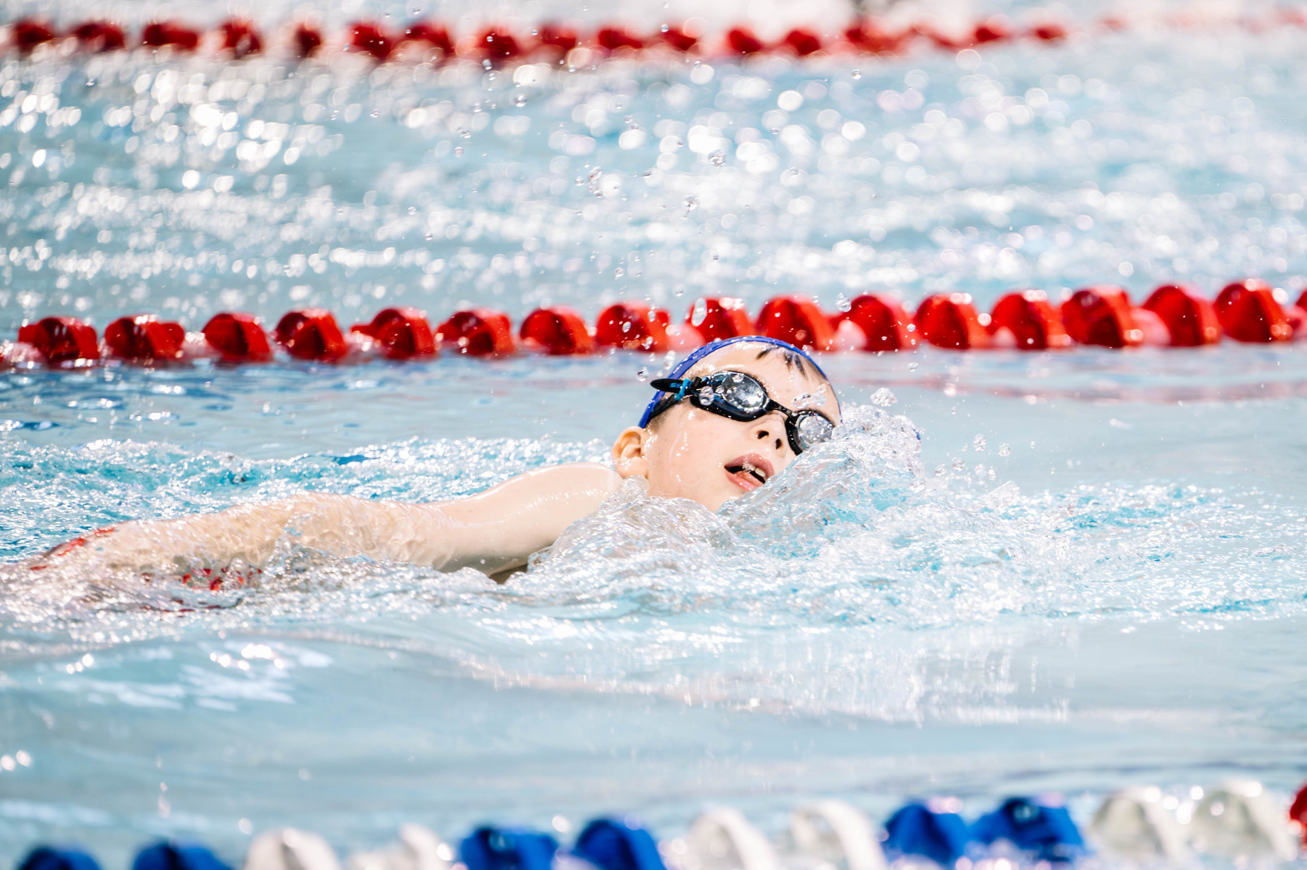 Первый этап кубка плавания, Дельфин. Октябрь, 2024. Спортивный фотограф в Туле и Тульской области. Файсханова Фото Спорт