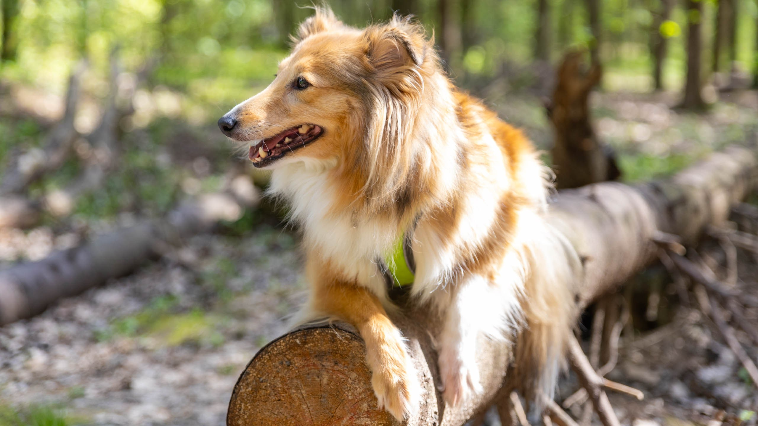 202404 Элис и Лора. Фотографии