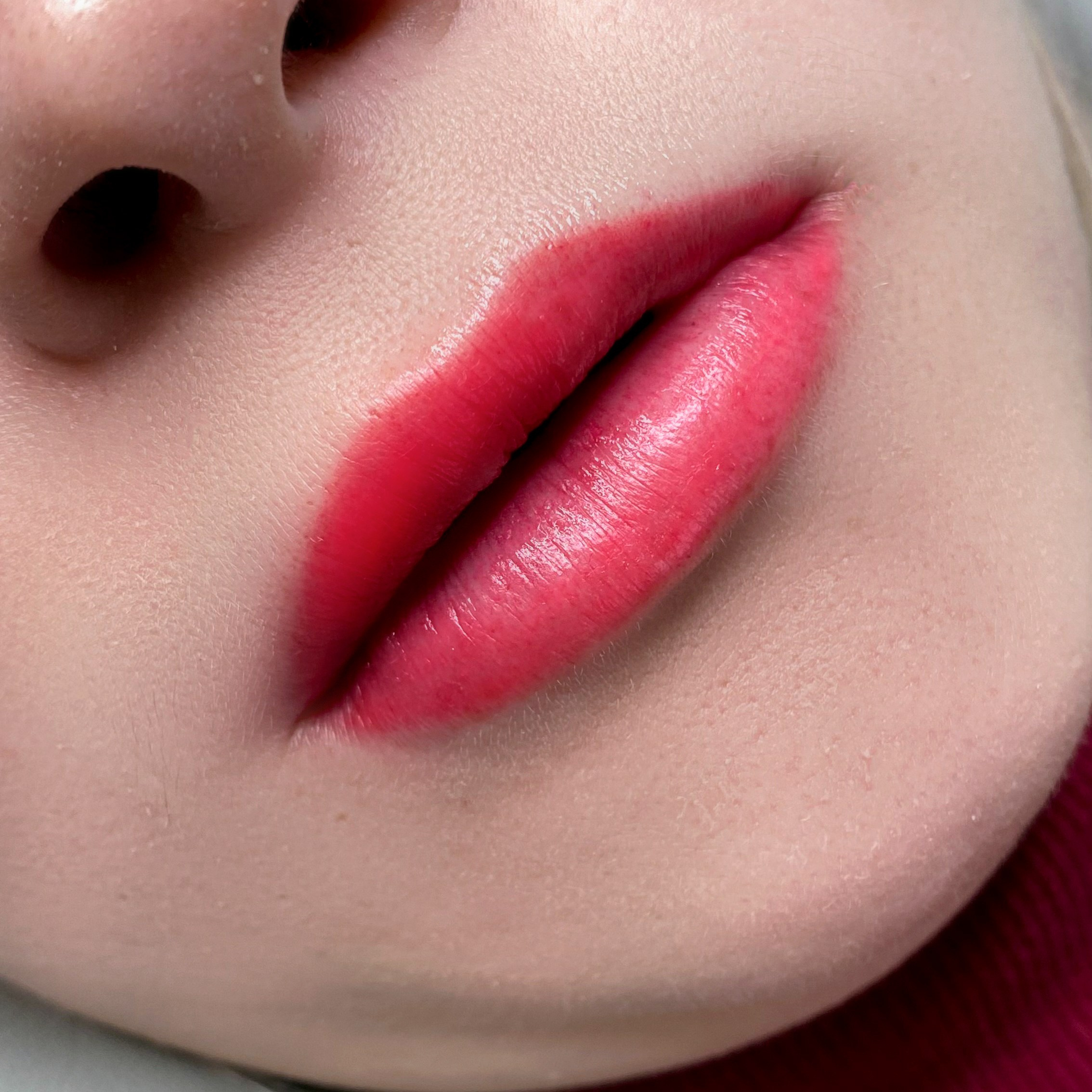 Губы-инструмент для достижения желаемого. Перманент PigmentLab Olga