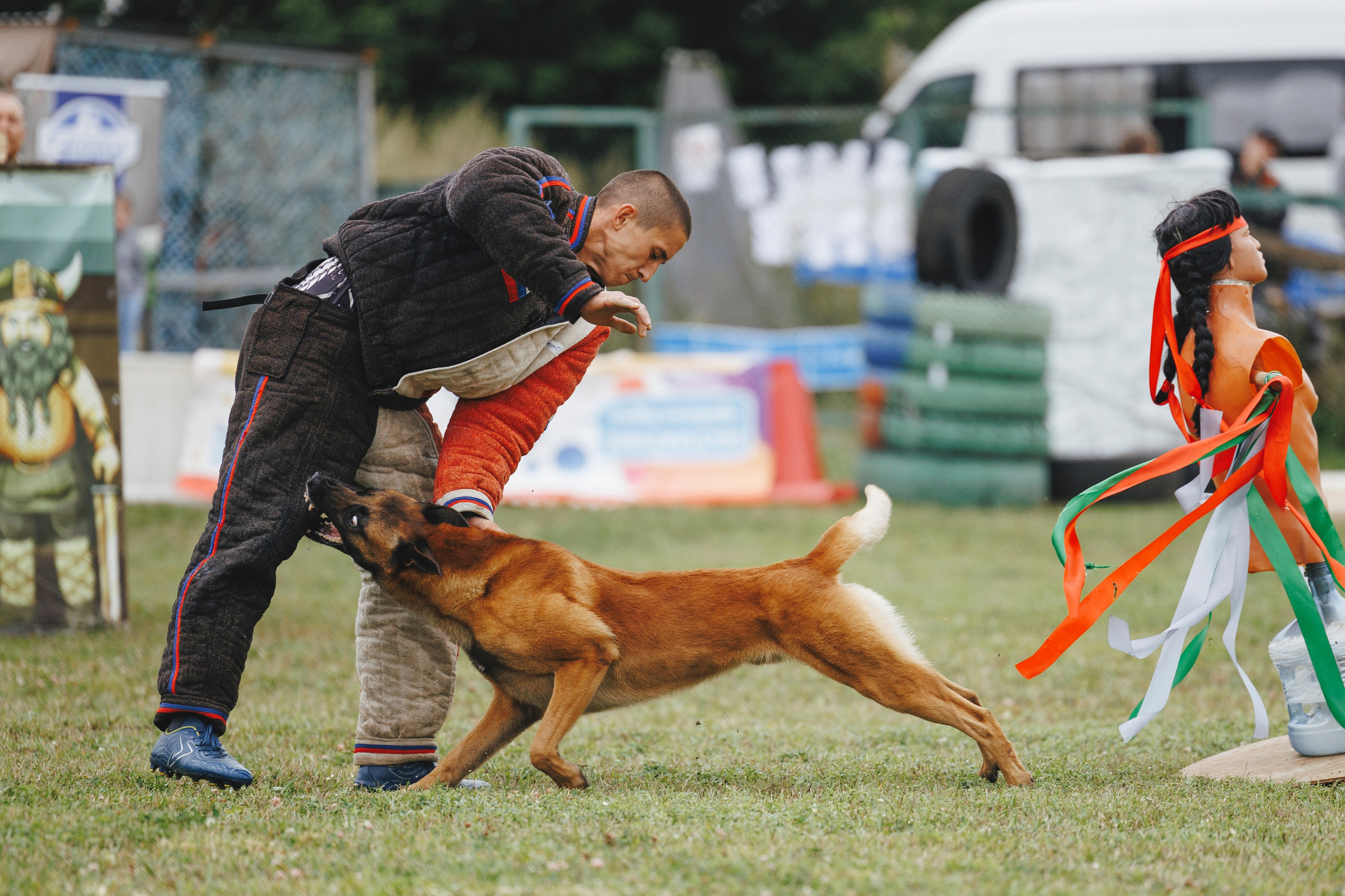 08.08.25-10.08.25 ЧР по мондьорингу г. Вологда. Фотограф-анималист Анна Маринич