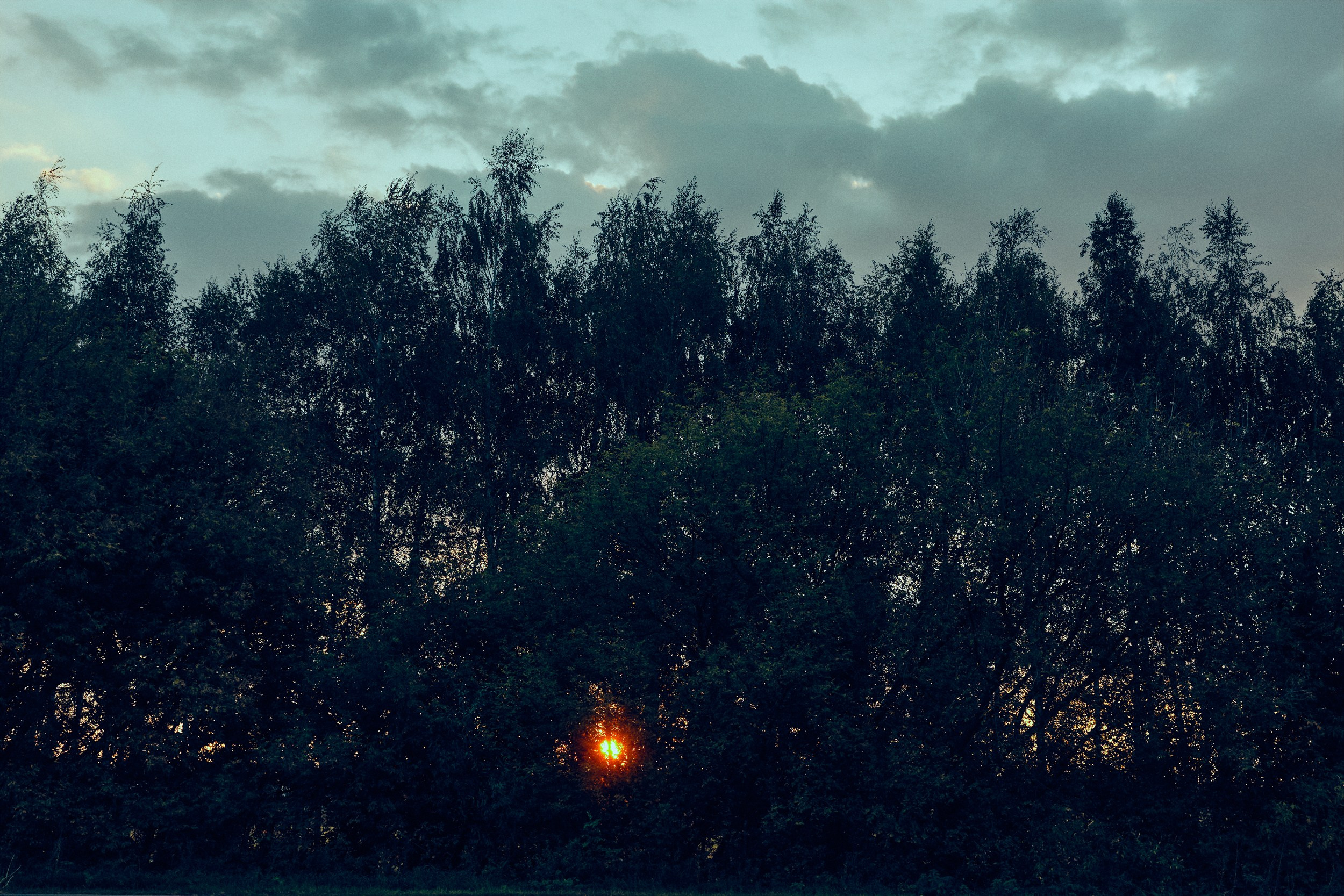 The Khvostovs' country estate. Vasiliy Shvetsov
