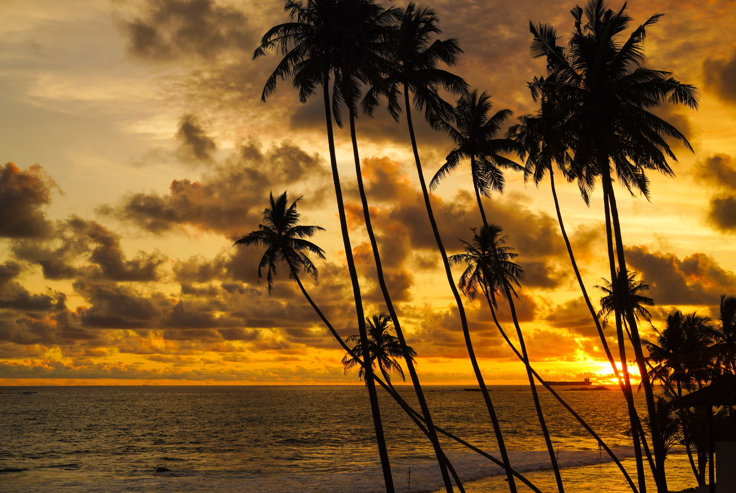 Остров Шри-Ланка. Фотограф Сергей Кишкель Дананг Нячанг Фукуок