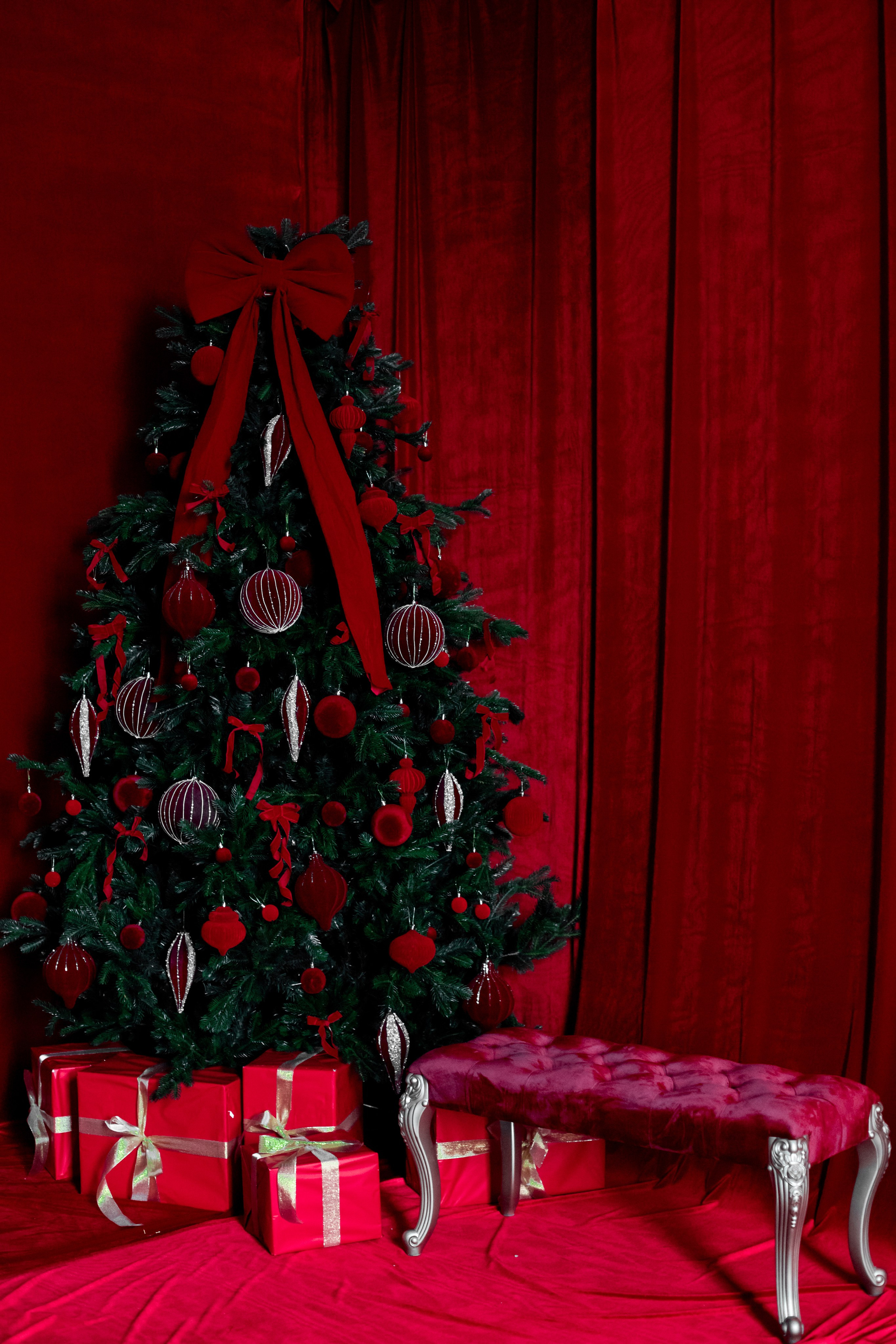 Черно-белый. Фотограф г. Хабаровск. Семейные и индивидуальные съёмки