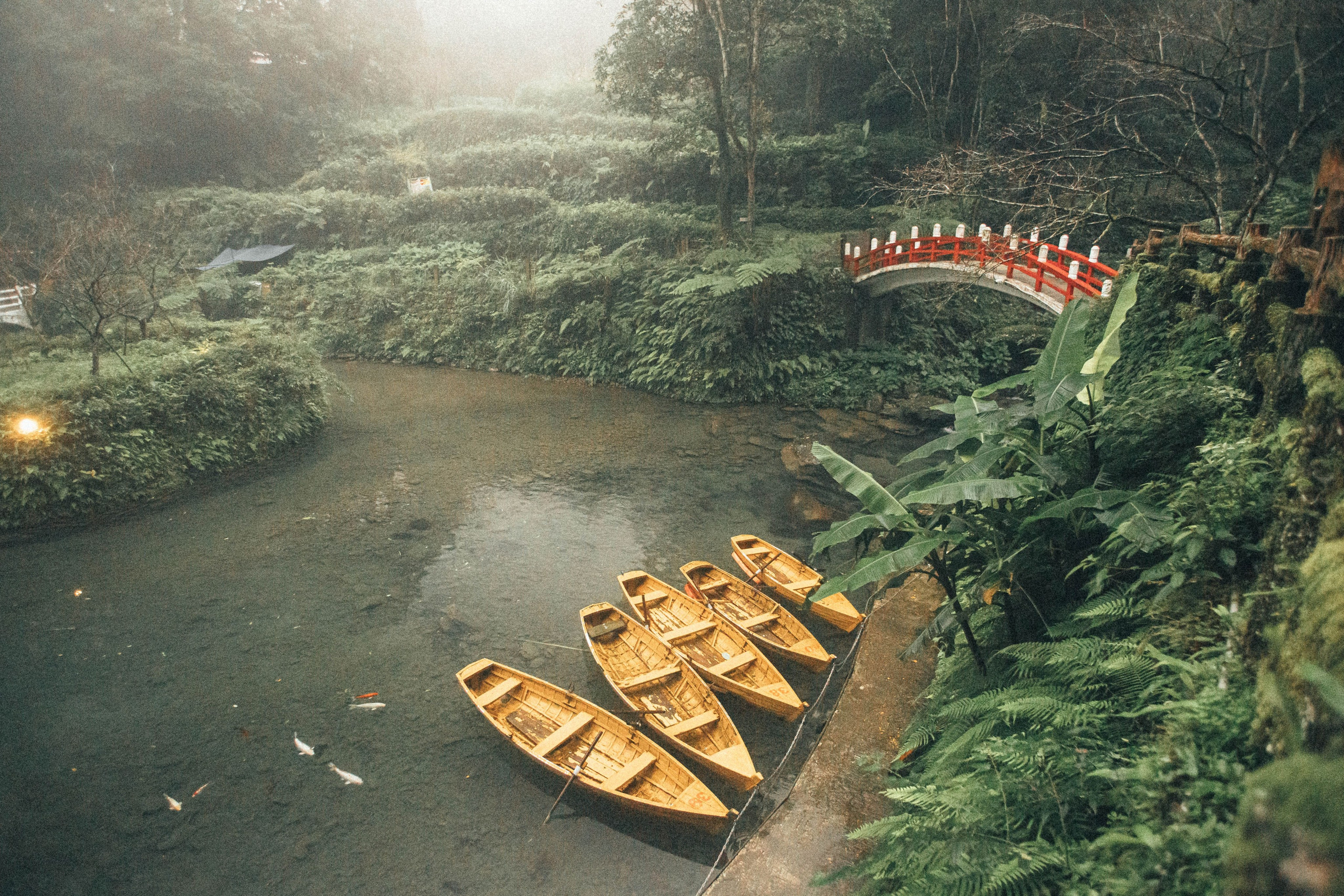 Тайвань. Фотография, ретушь, сканирование, восстановление старых фото, интерьерная съёмка, студия. Данилов Александр, Москва