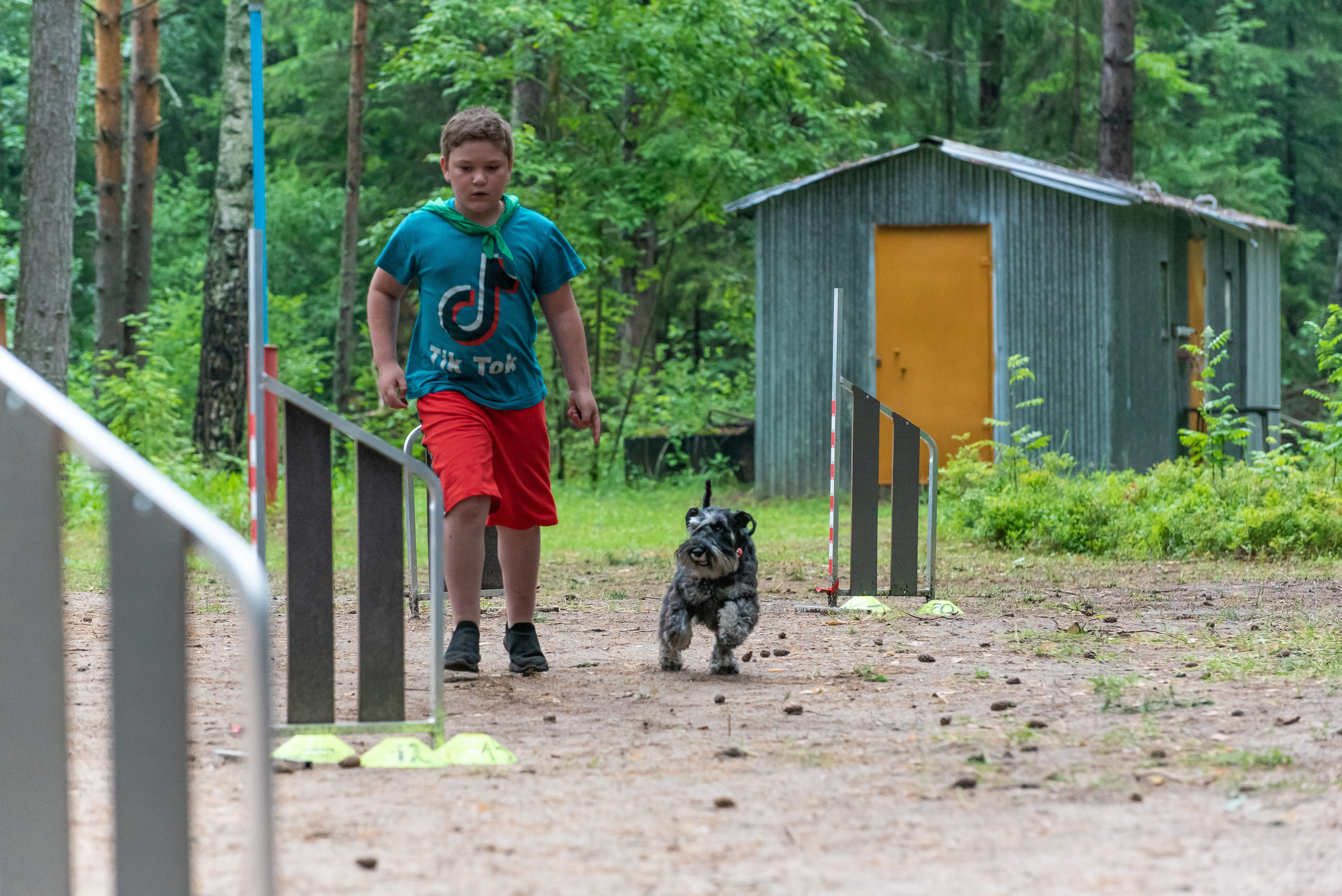 Хвостатые каникулы Детский кинологический лагерь. Фотограф Макс Огурцов в Нижнем Новгороде