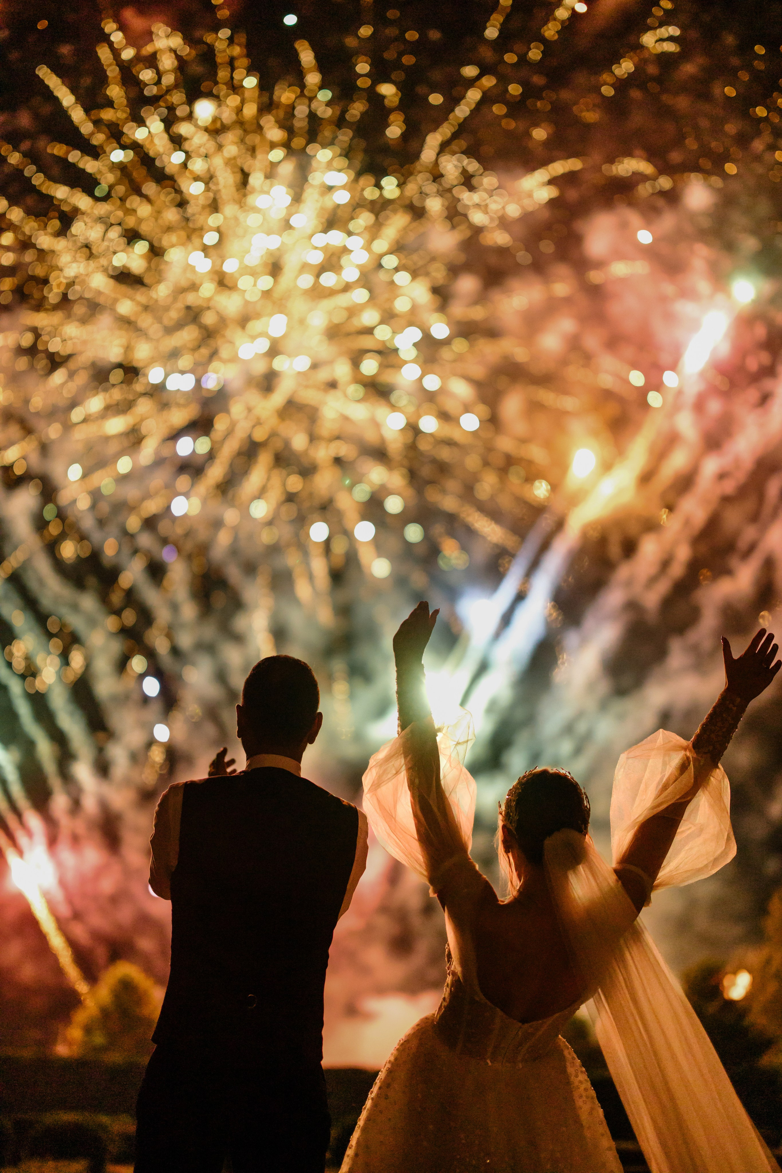 Рохит & Дарья. Организатор- Елена Гаманович. Главная