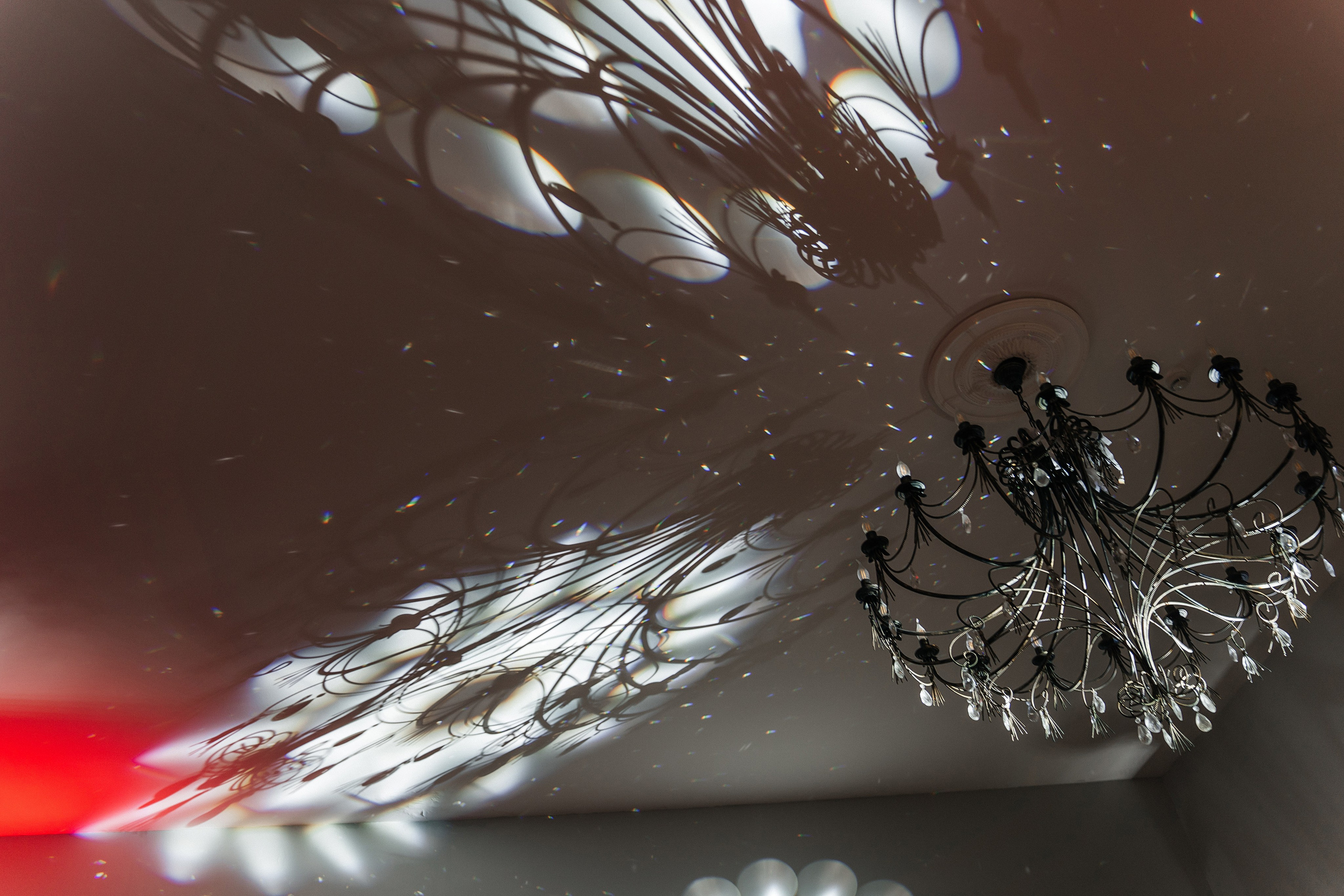 Свадьба 2024. Семейный и портретный фотограф в г. Орск Алишер Азимов