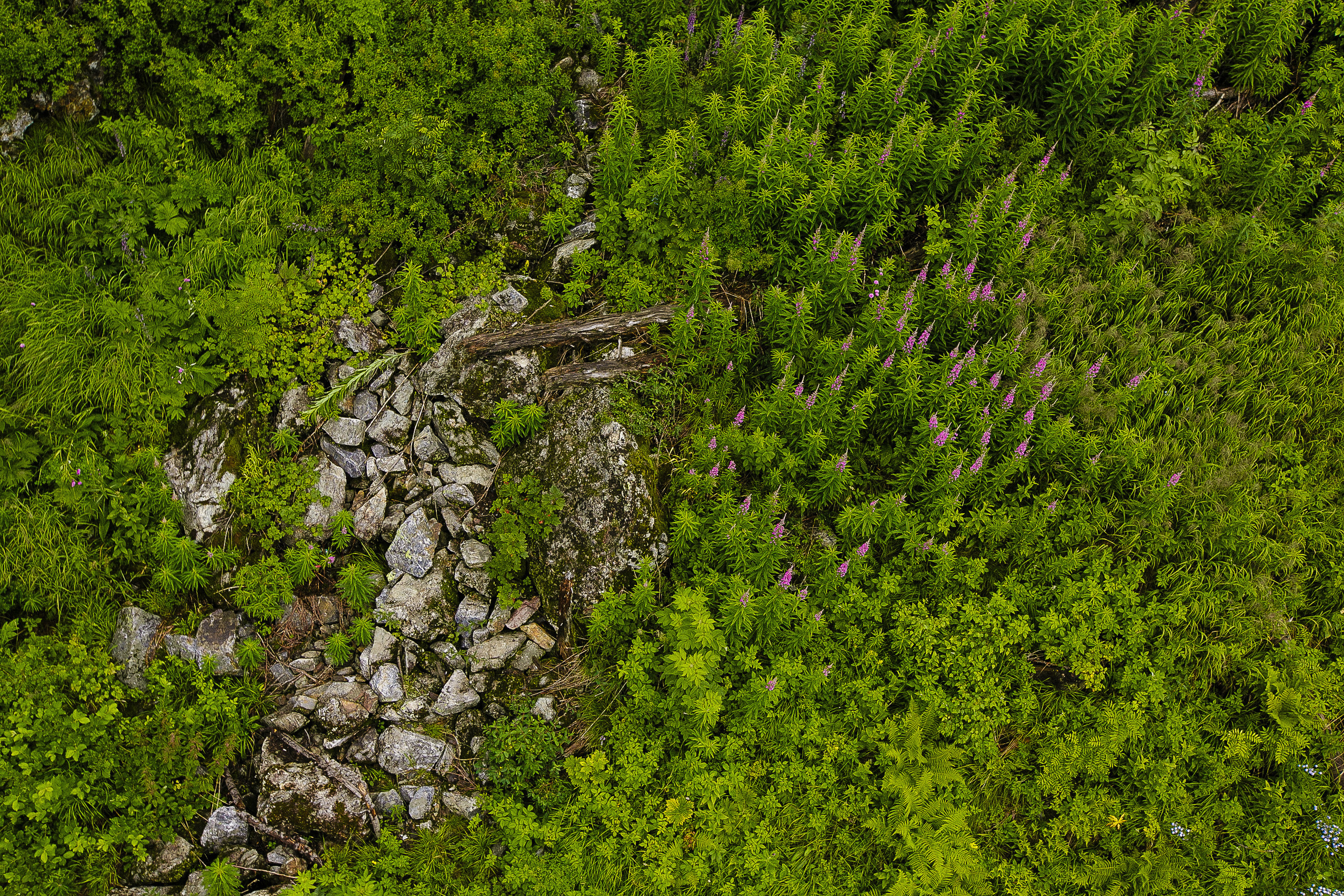 Репортаж дневного похода на крест Шерегеш. Портретный фотограф в Кемерово Алеся Цайтлер