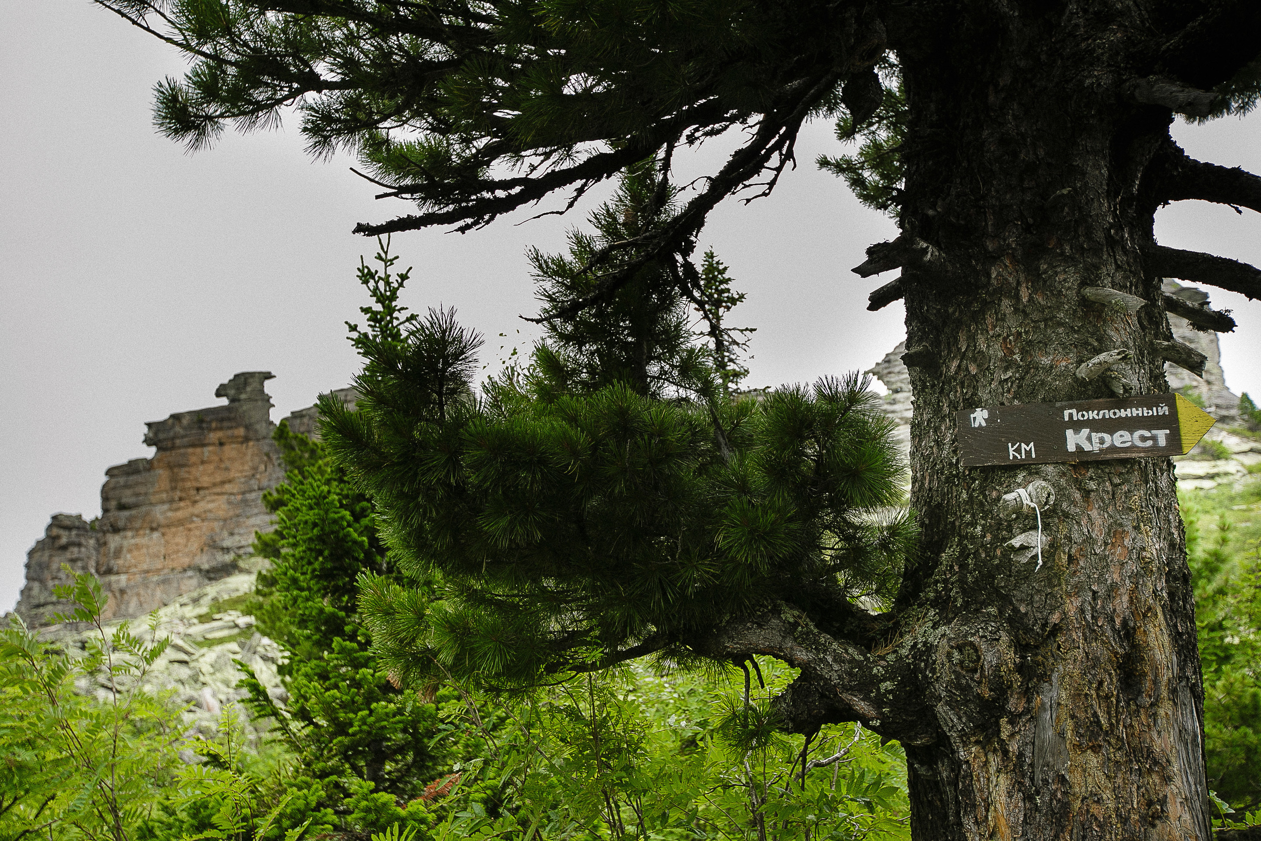 Репортаж дневного похода на крест Шерегеш. Портретный фотограф в Кемерово Алеся Цайтлер