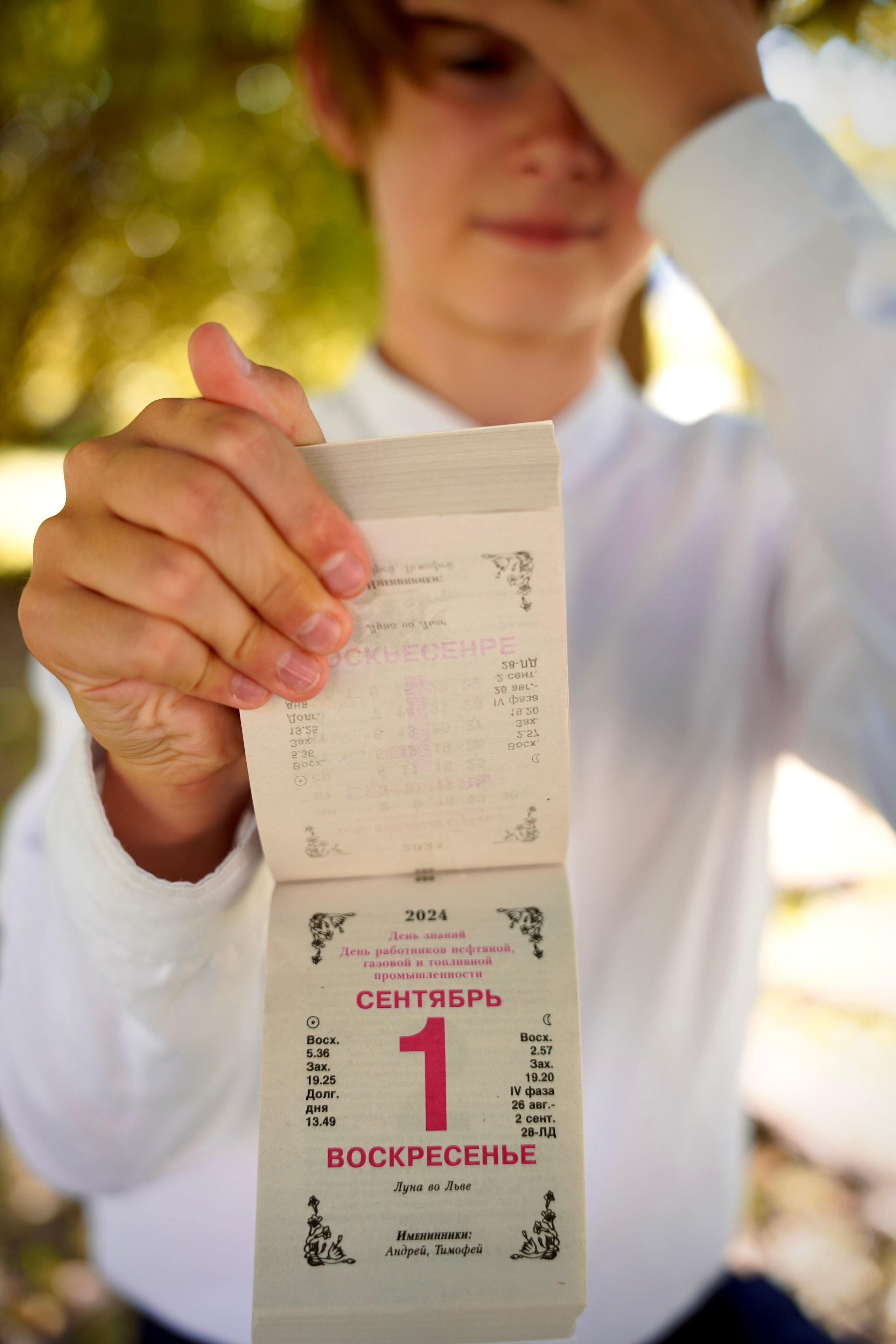 День знаний № 5. Семейный и детский фотограф Александра Гвоздикова