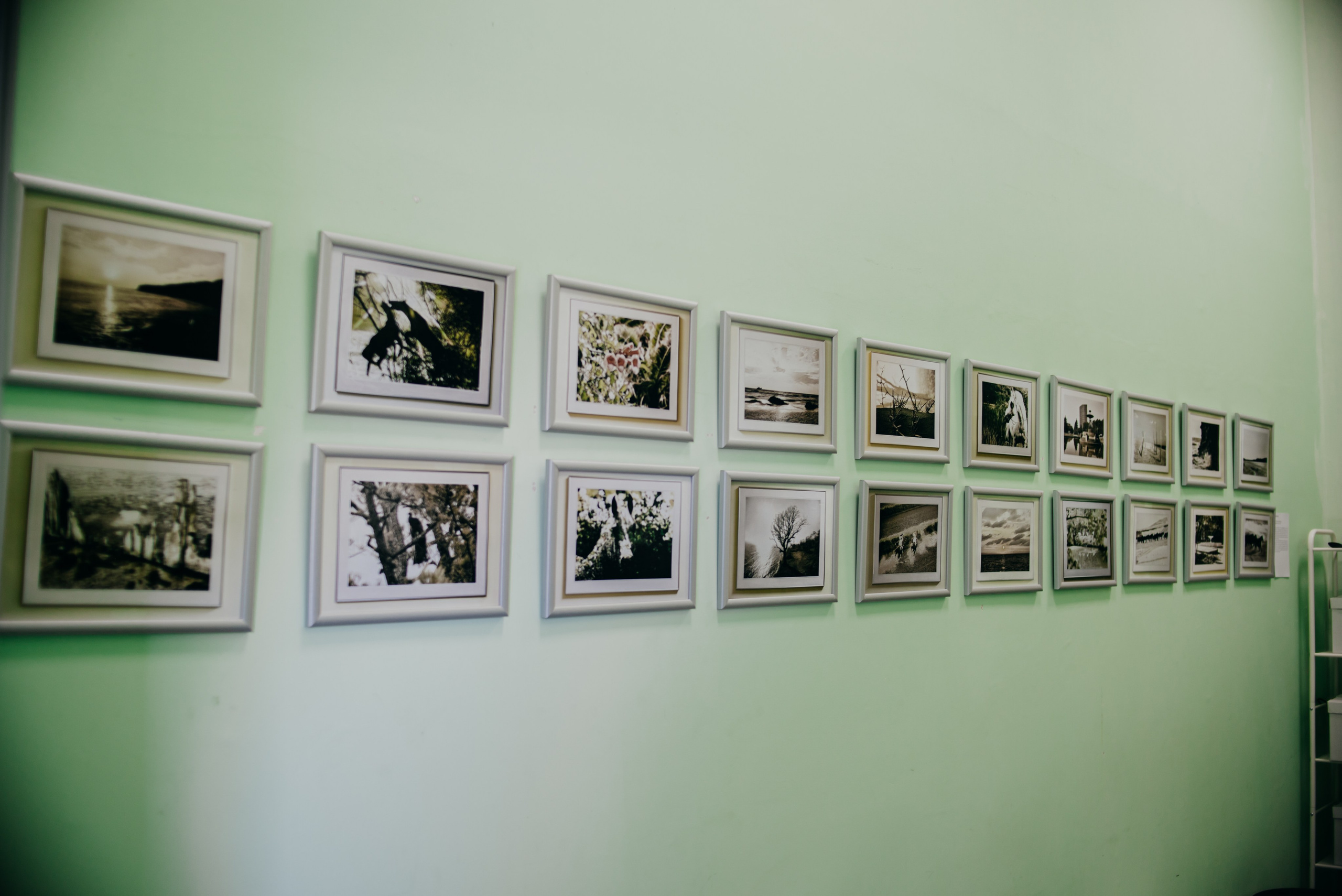 От работы кони дохнут. Лера Круглова