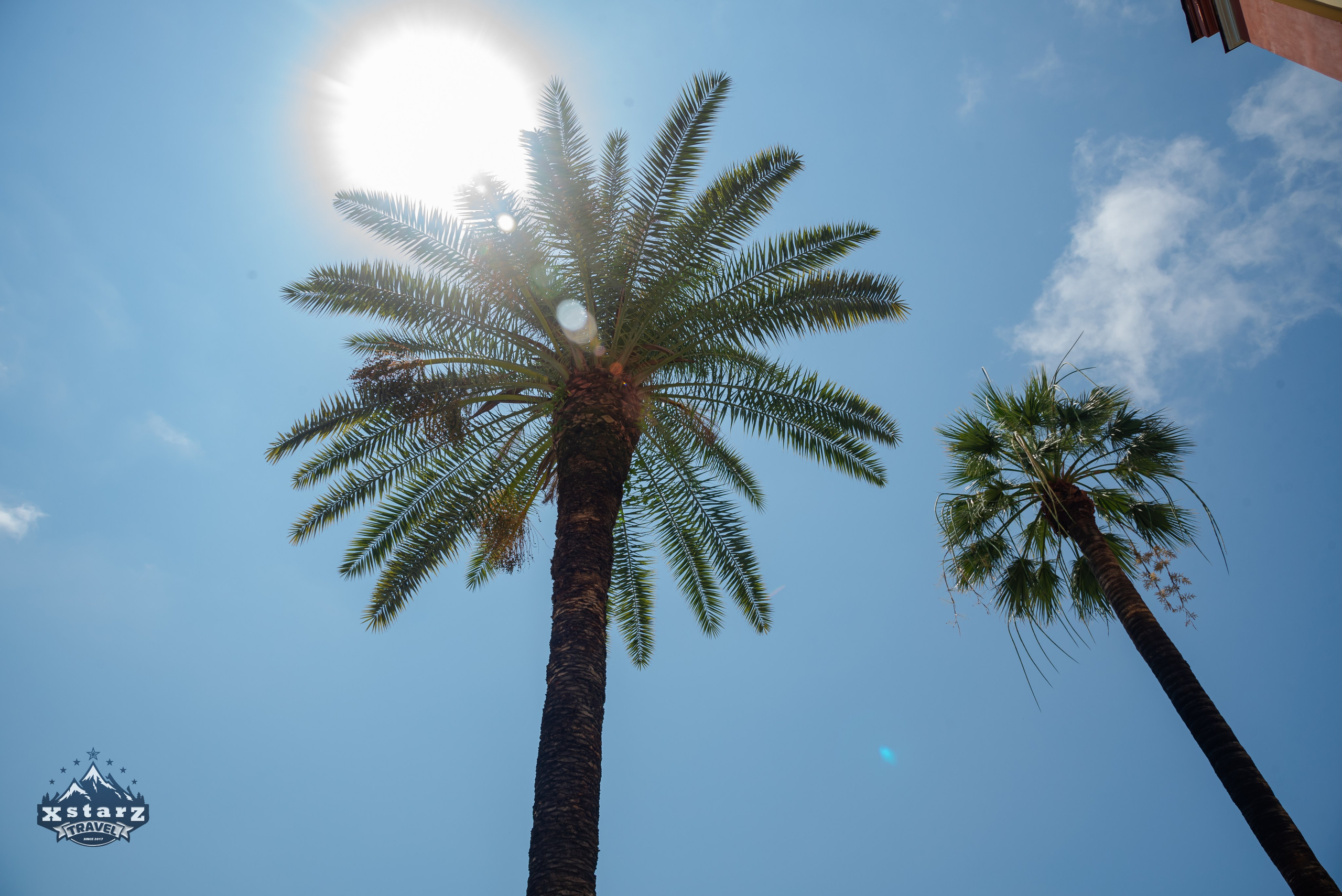 Тур в Абхазию. Фотограф Галина Нестерова