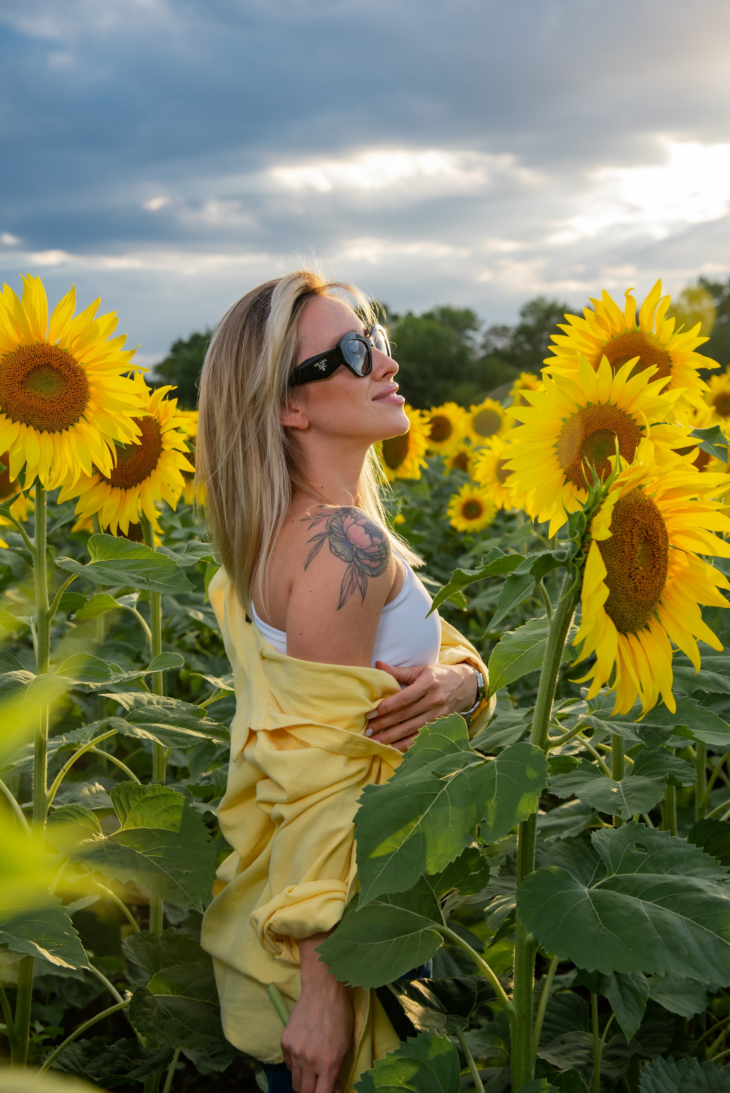 Подсолнух. Фотограф Галина Нестерова