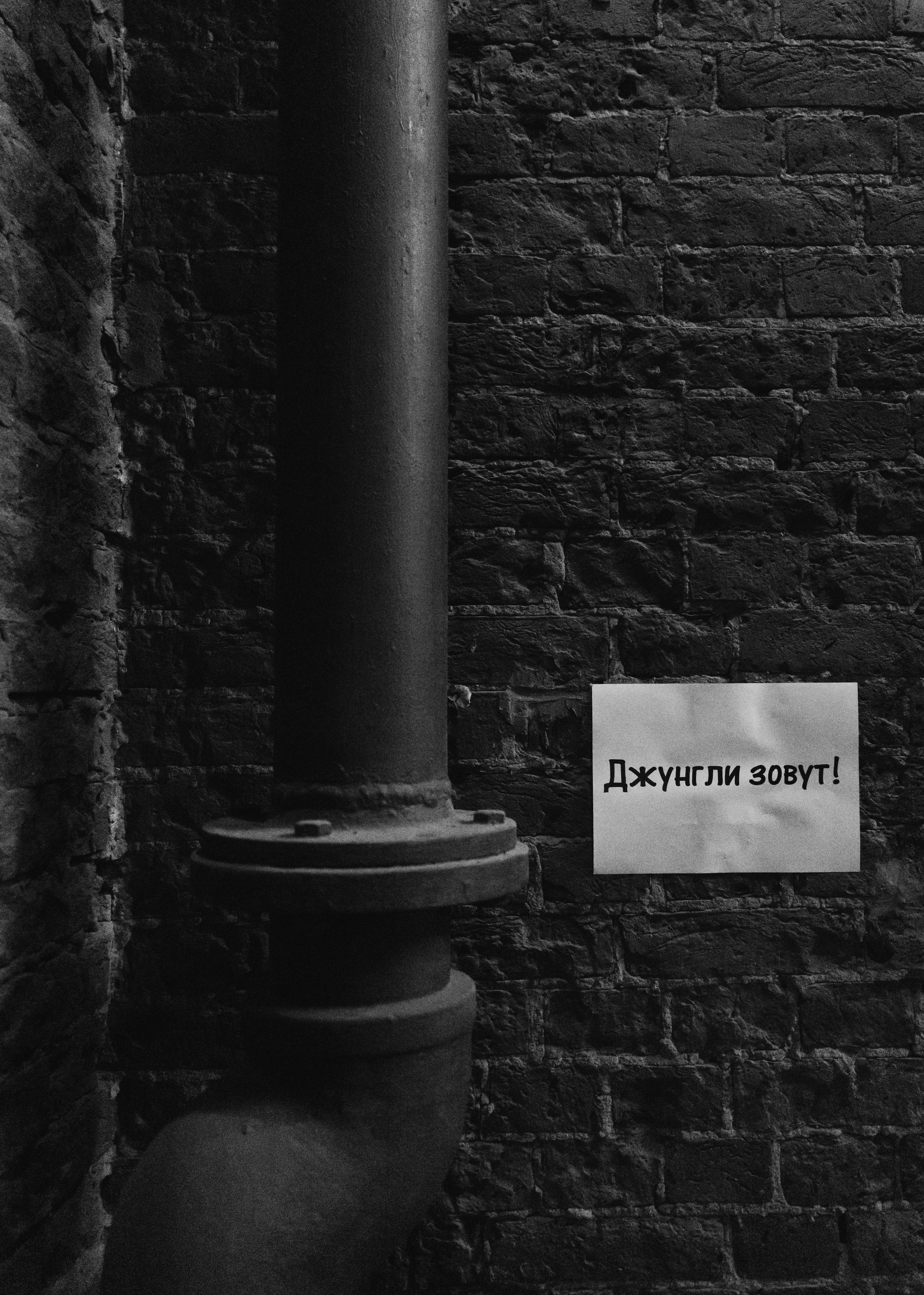 @sladkayavataagency. Свадебный и репортажный фотограф в Москве Владимир Сергеев | Naysaikolo