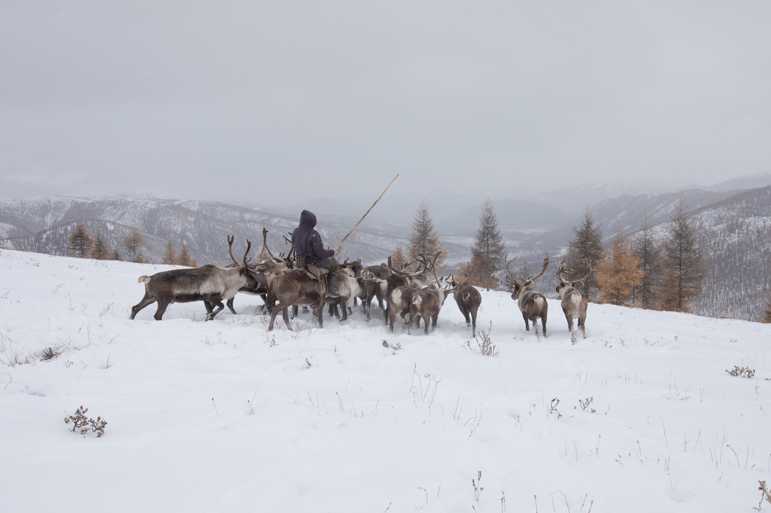 Не забудь накормить озеро. Natalya Madilyan