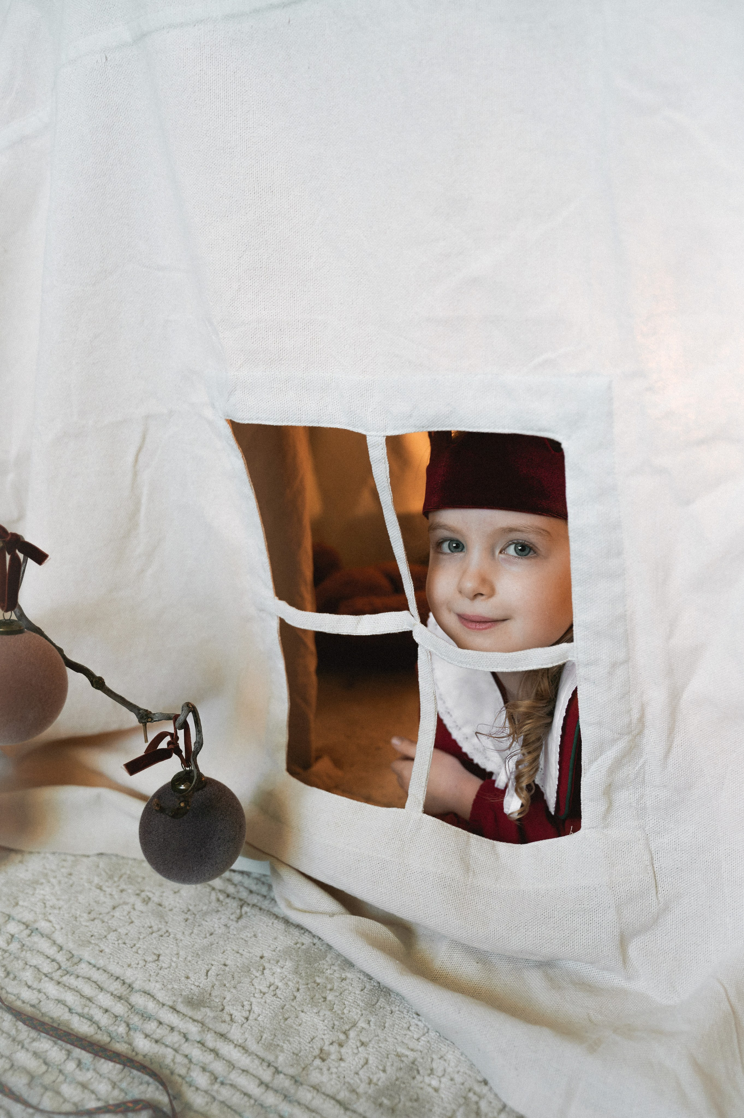 Рождество дома. Фотограф Регина С