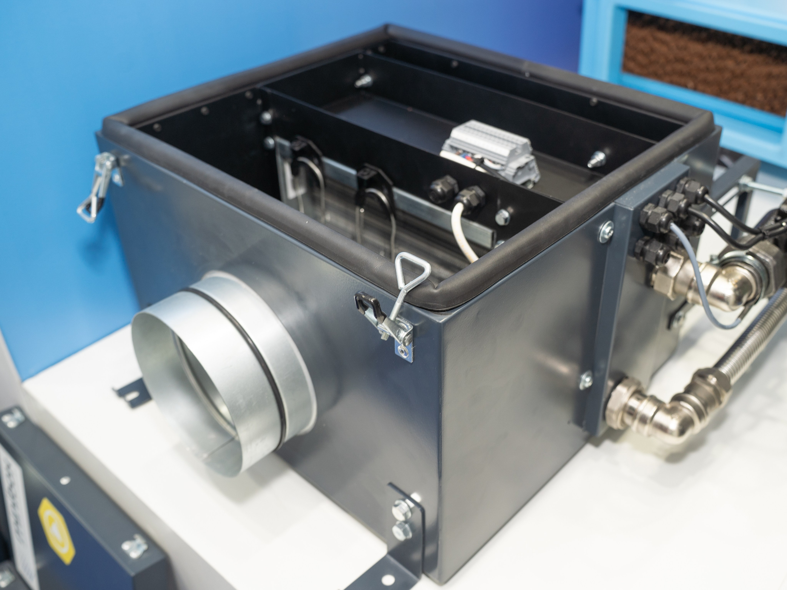 Крокус Вентиляция. Фотограф Зинаида Евдокимова