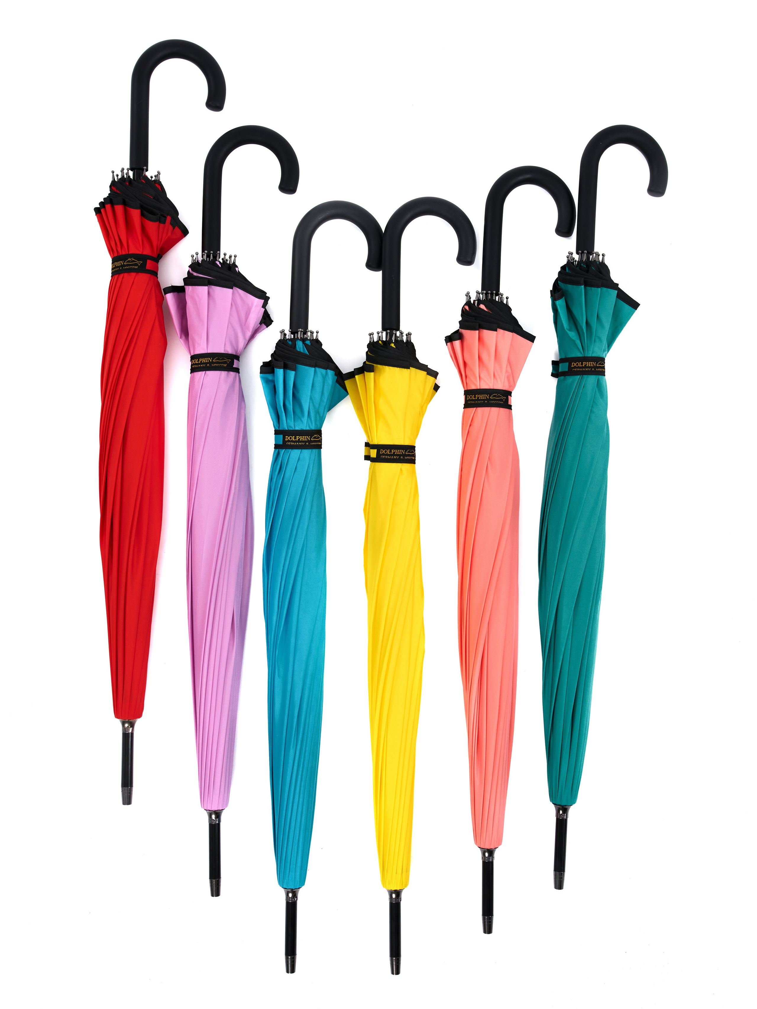 Dolphin. Zubkov Jan Hochzeitsfotograf Deutschland