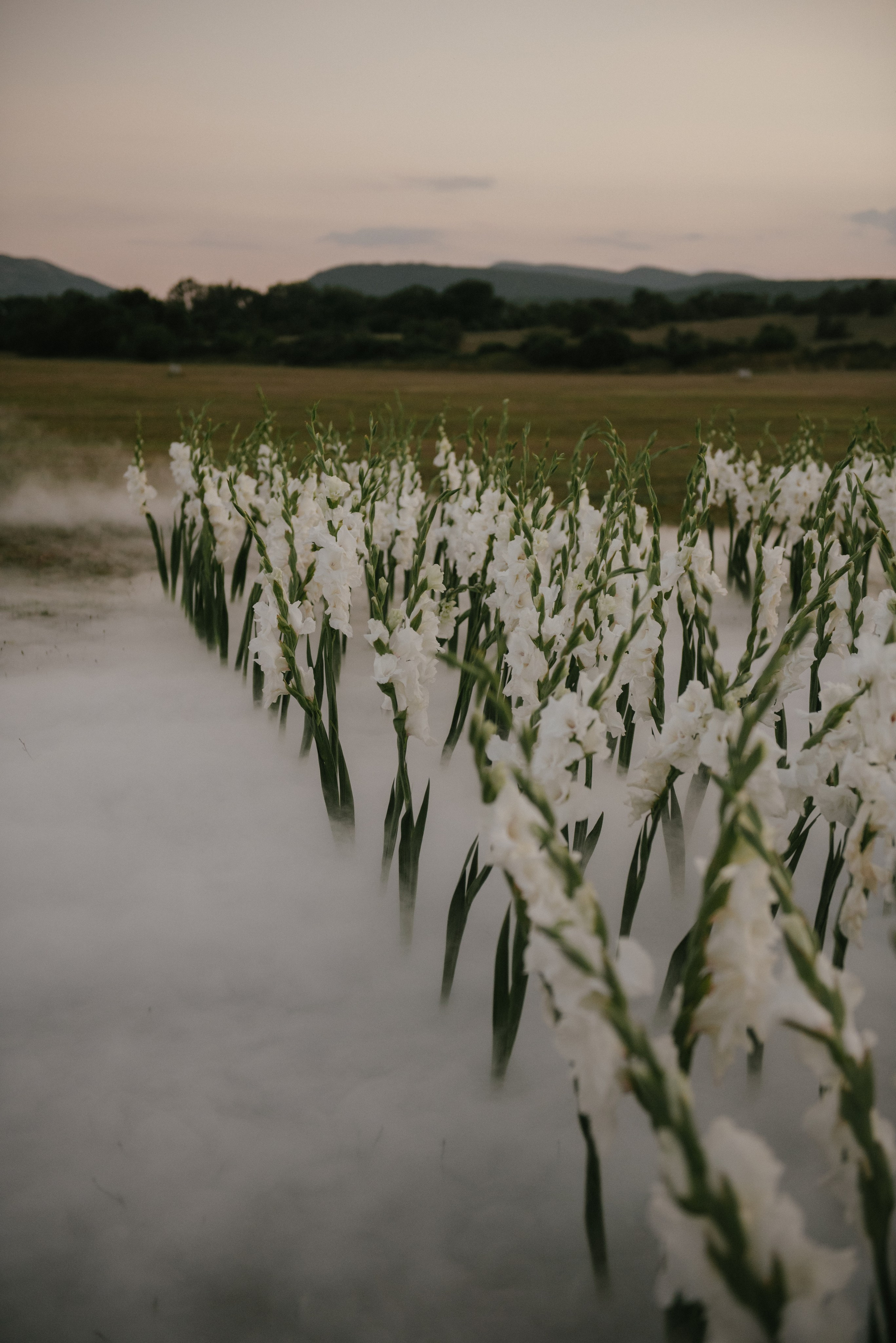 Владислав и Юлия (Вечеринка по случаю венчания). Свадебный, женский, семейный фотограф в Севастополе Юлия Мошенко