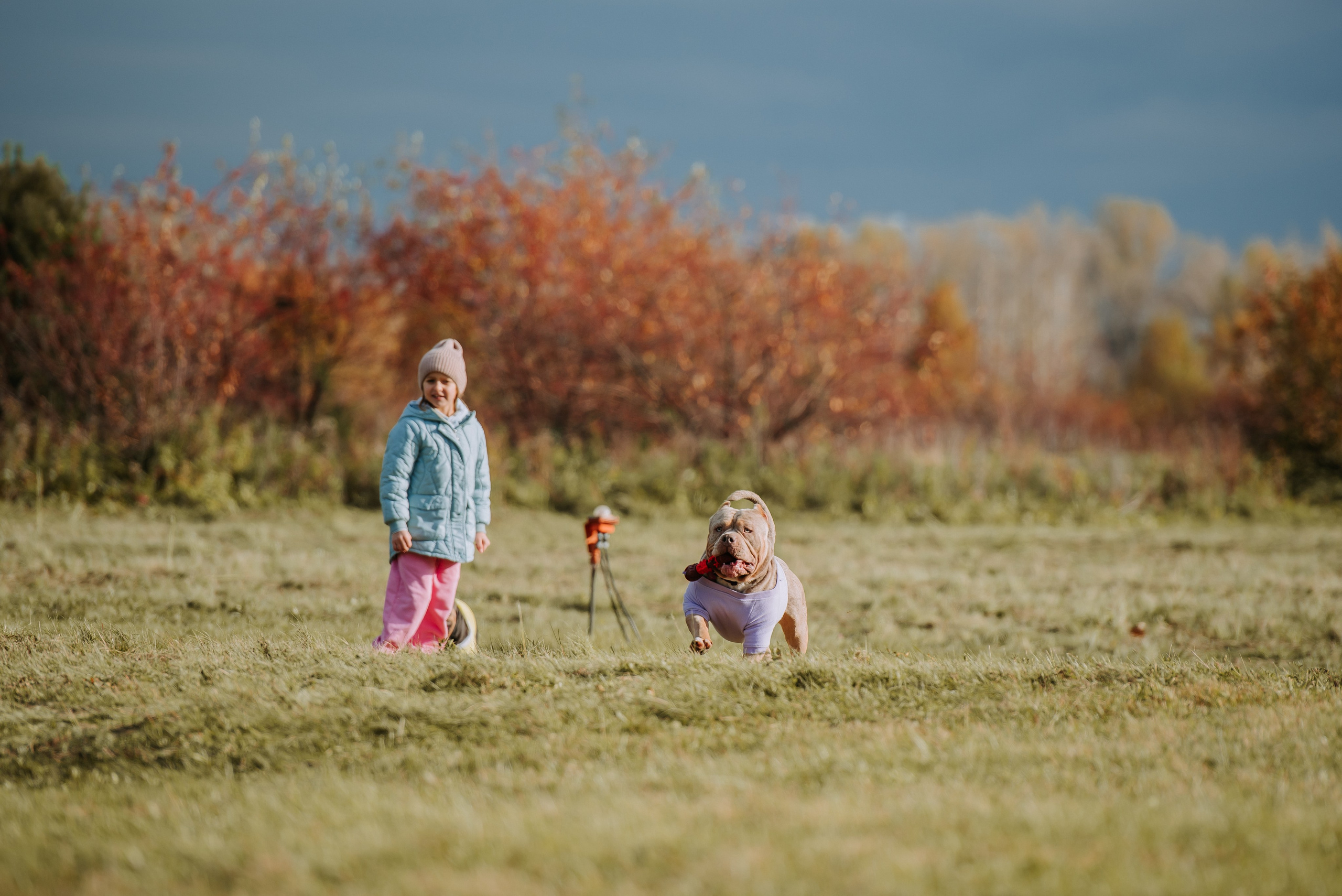 Фотопрогулка с питомцами. Фотограф Диана Оленина Красноярск / Братск