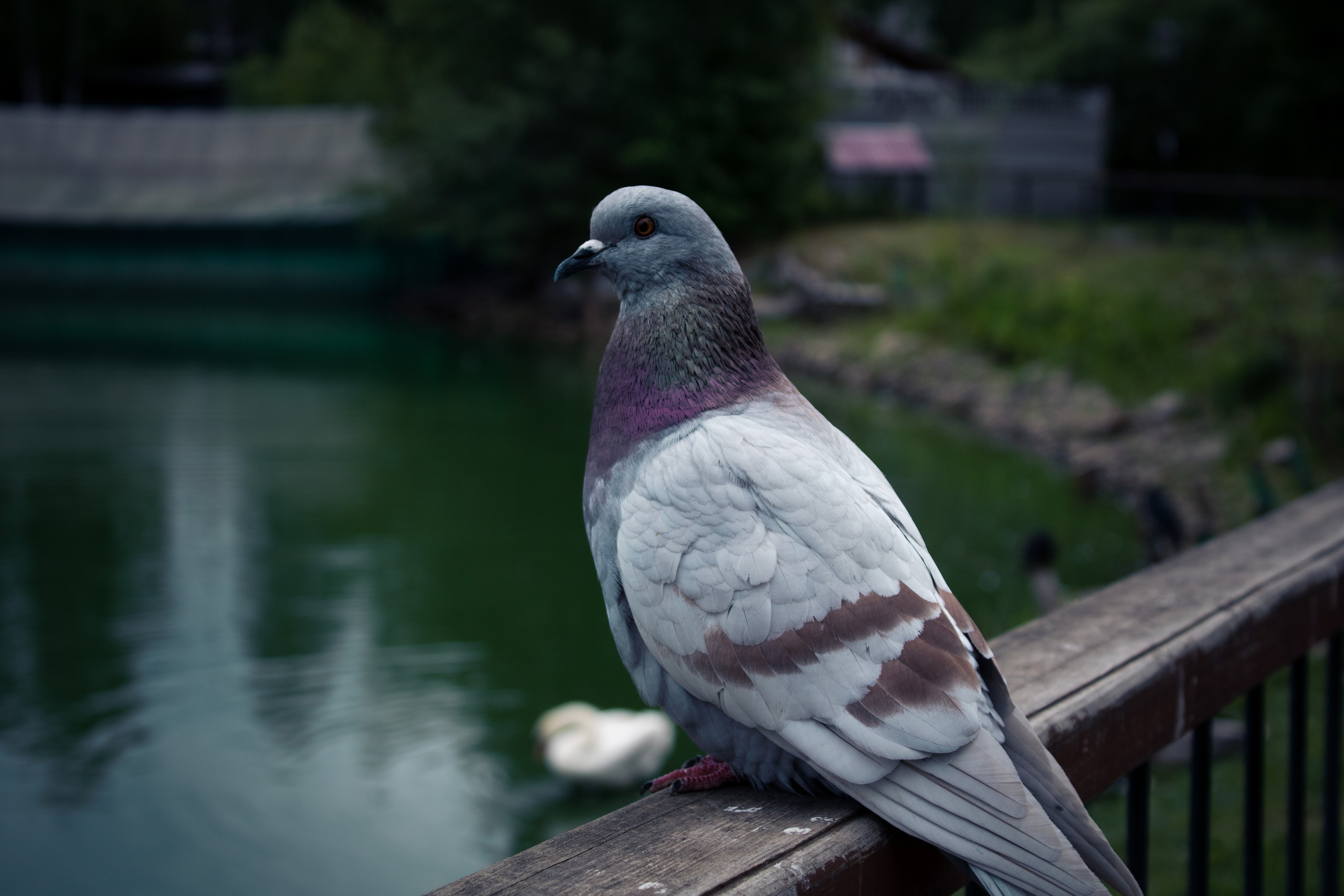 Вдохновение. Бутакова Елена фотограф в Екатеринбурге
