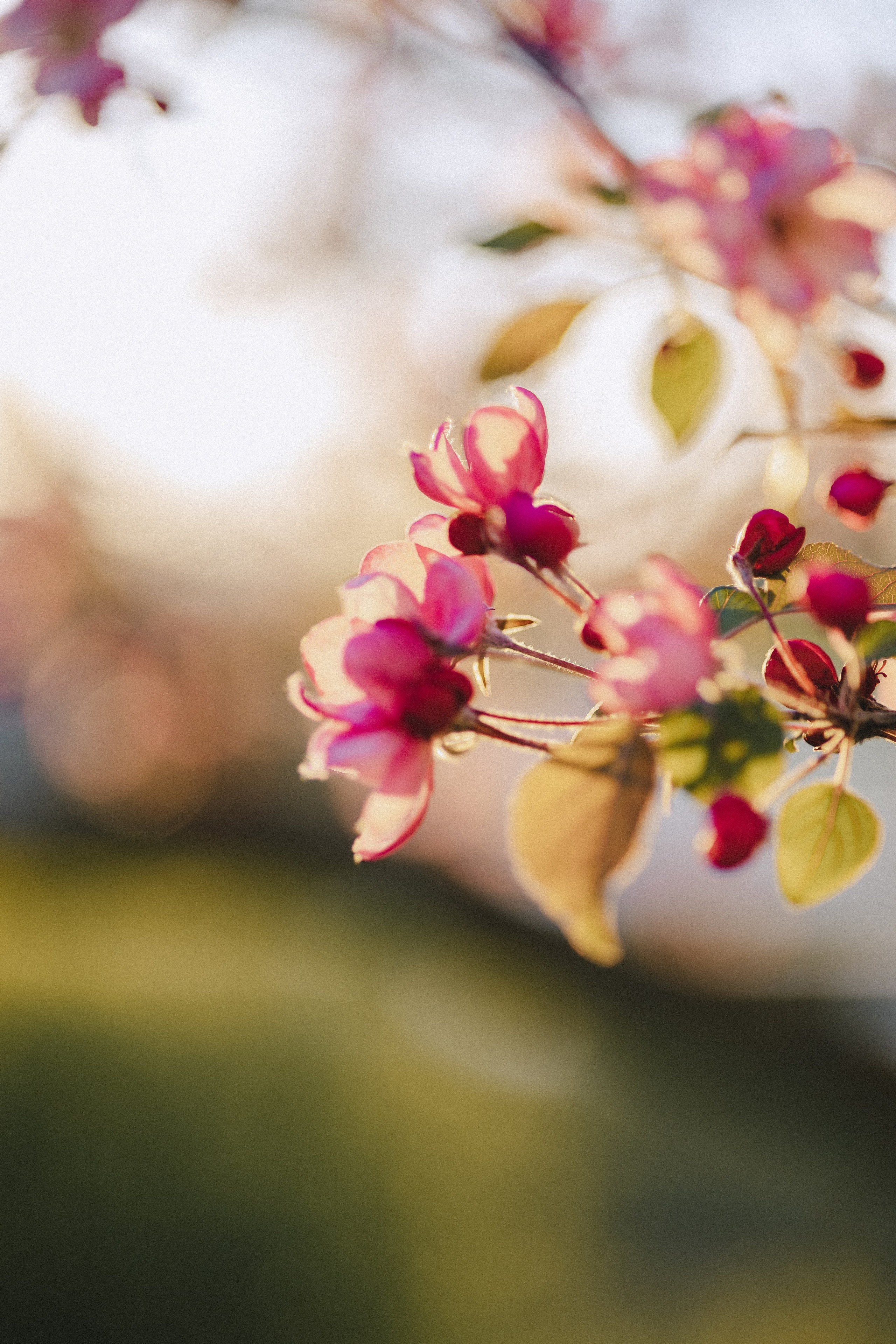 Юля. Фотограф Таганрог Любимая Надя