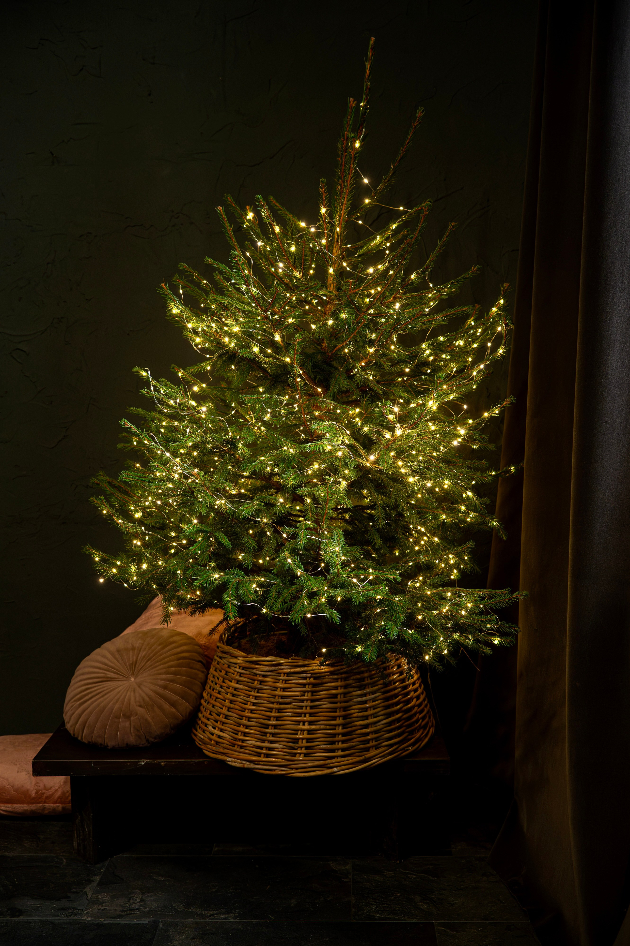 Графит. Фотостудия Молоко в Минске