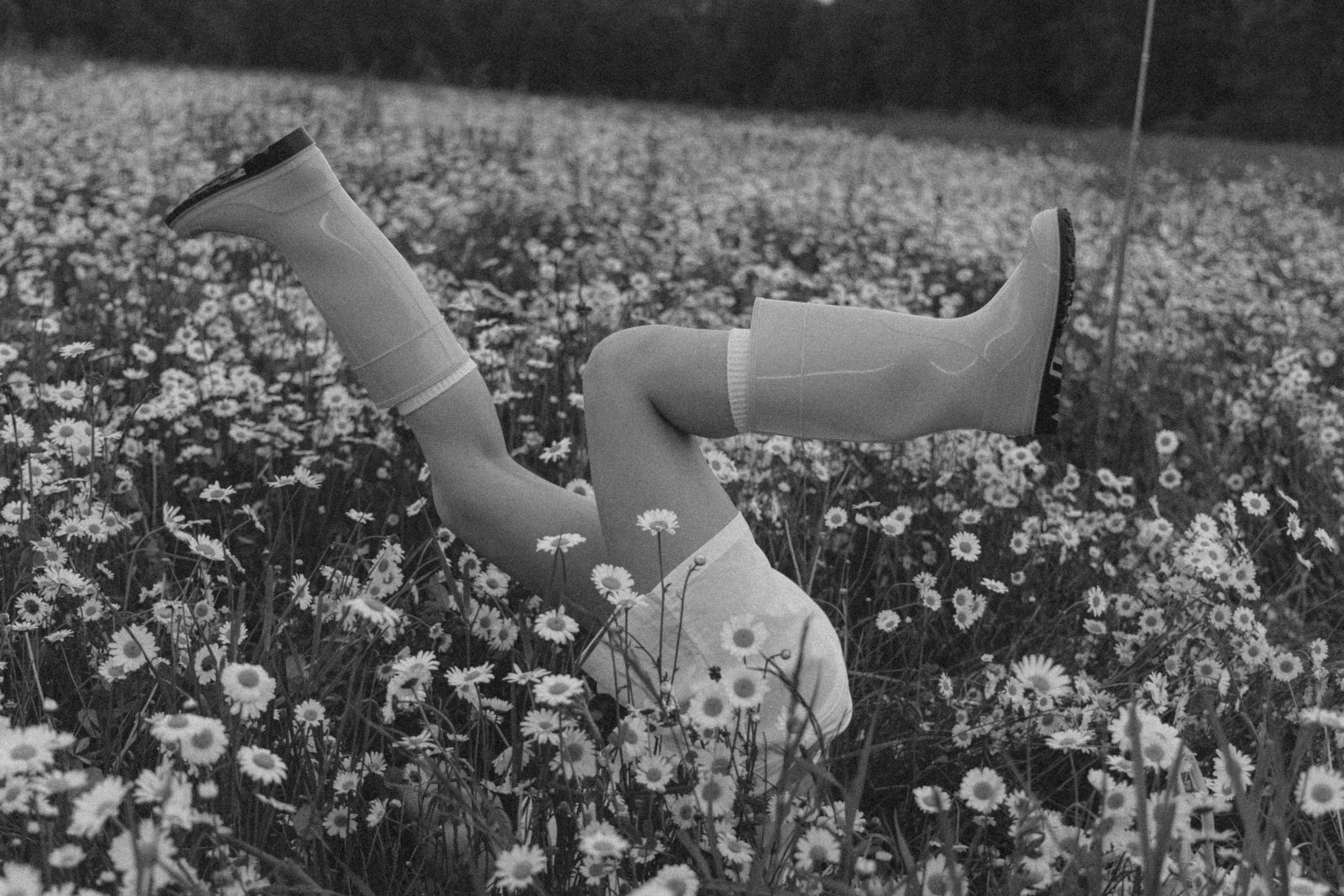 Яркая история в ромашковом поле. Семейный фотограф в Москве Лоншакова Кристина