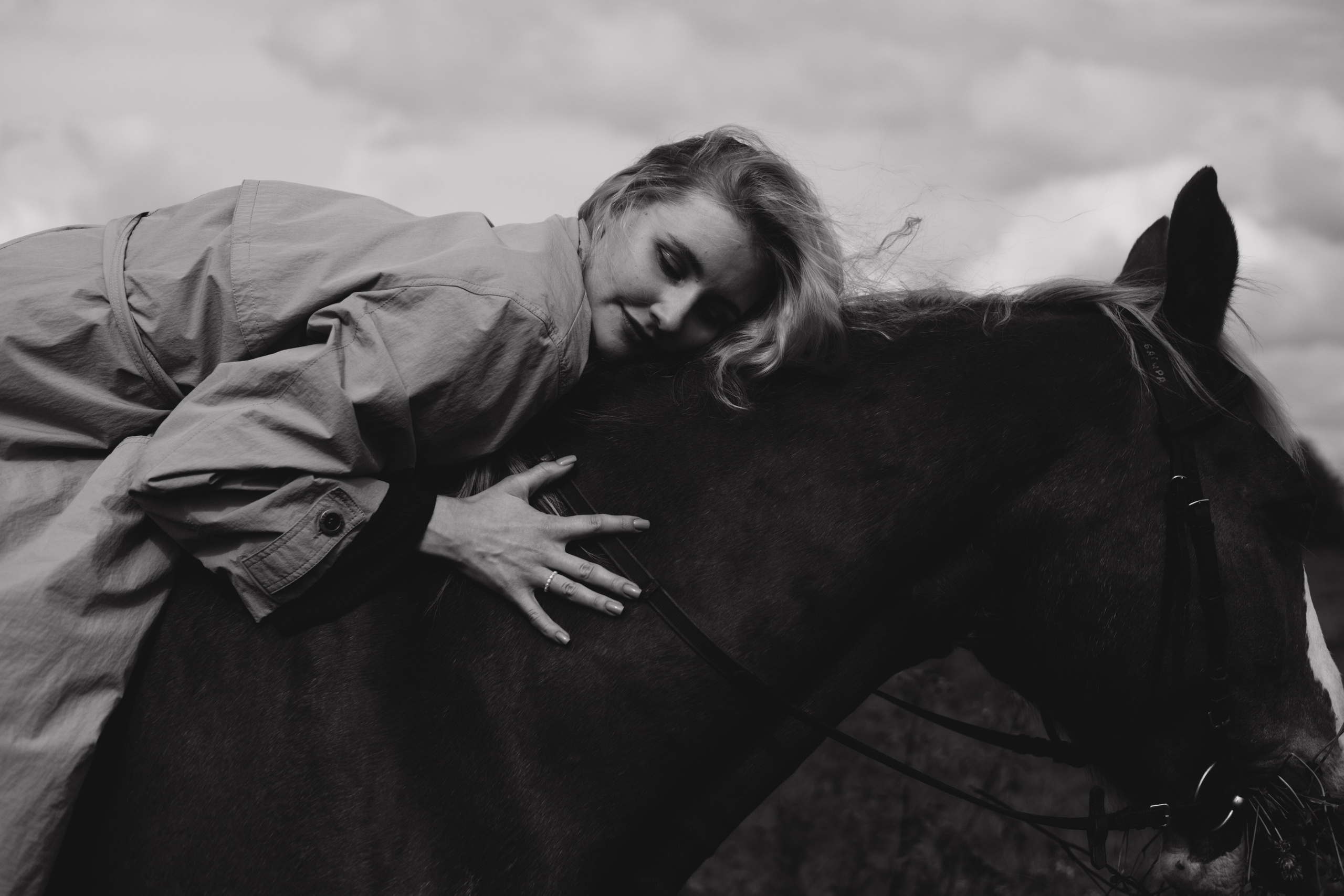 История любви девушки и лошади. Главная