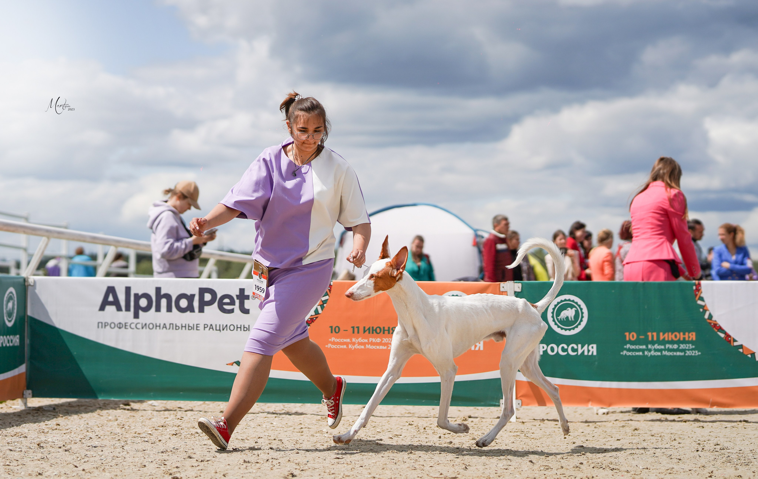 Выставки 2023. Фотограф-анималист в Санкт-Петербурге Яна Мартынова