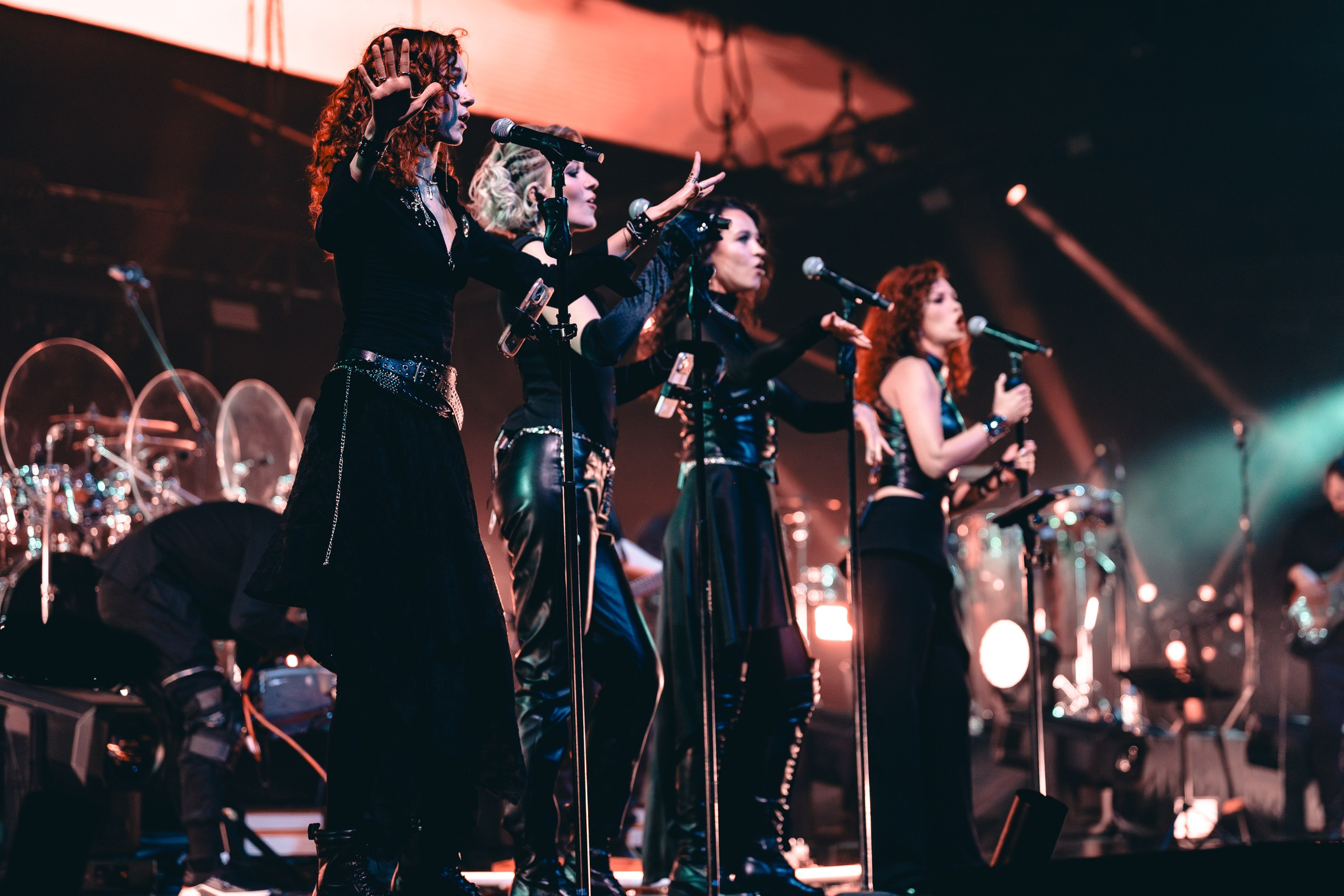 Владимир Пресняков. Магия музыки в кадре: Концертная Фотография