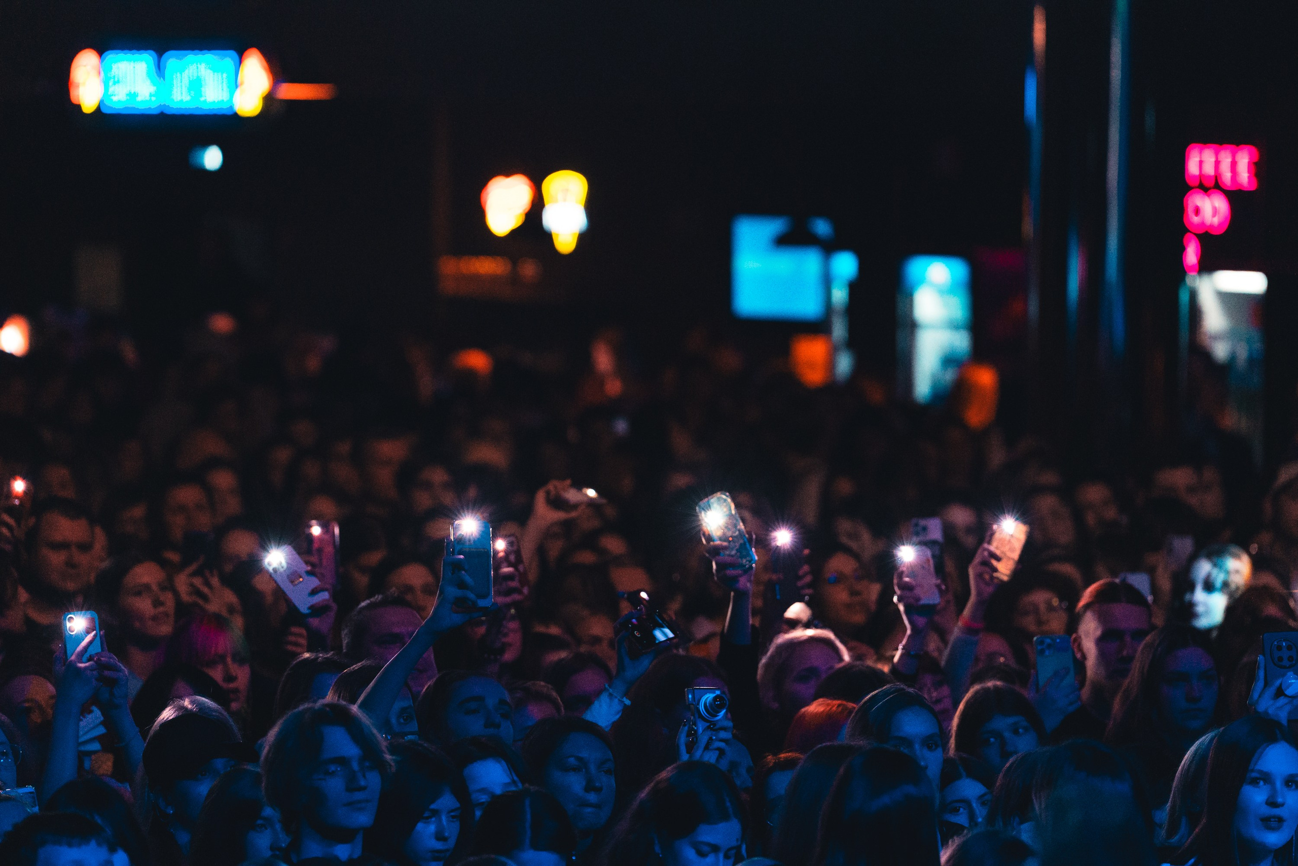 Алена Швец. Магия музыки в кадре: Концертная Фотография